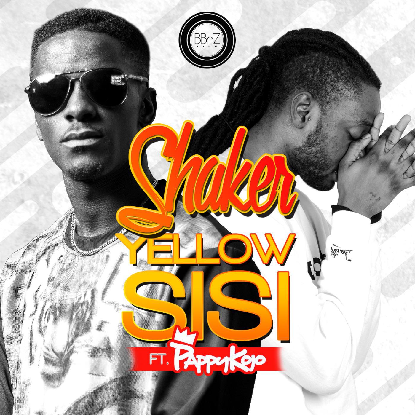 Постер альбома Yellow Sisi (feat. Pappy Kojo)