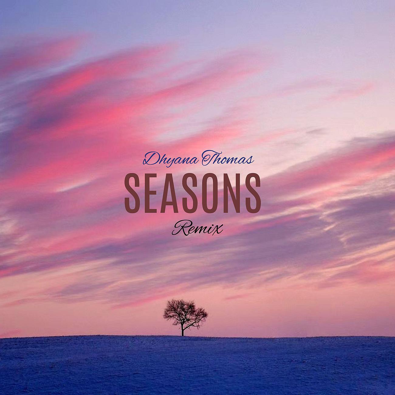 Постер альбома Seasons - Remix