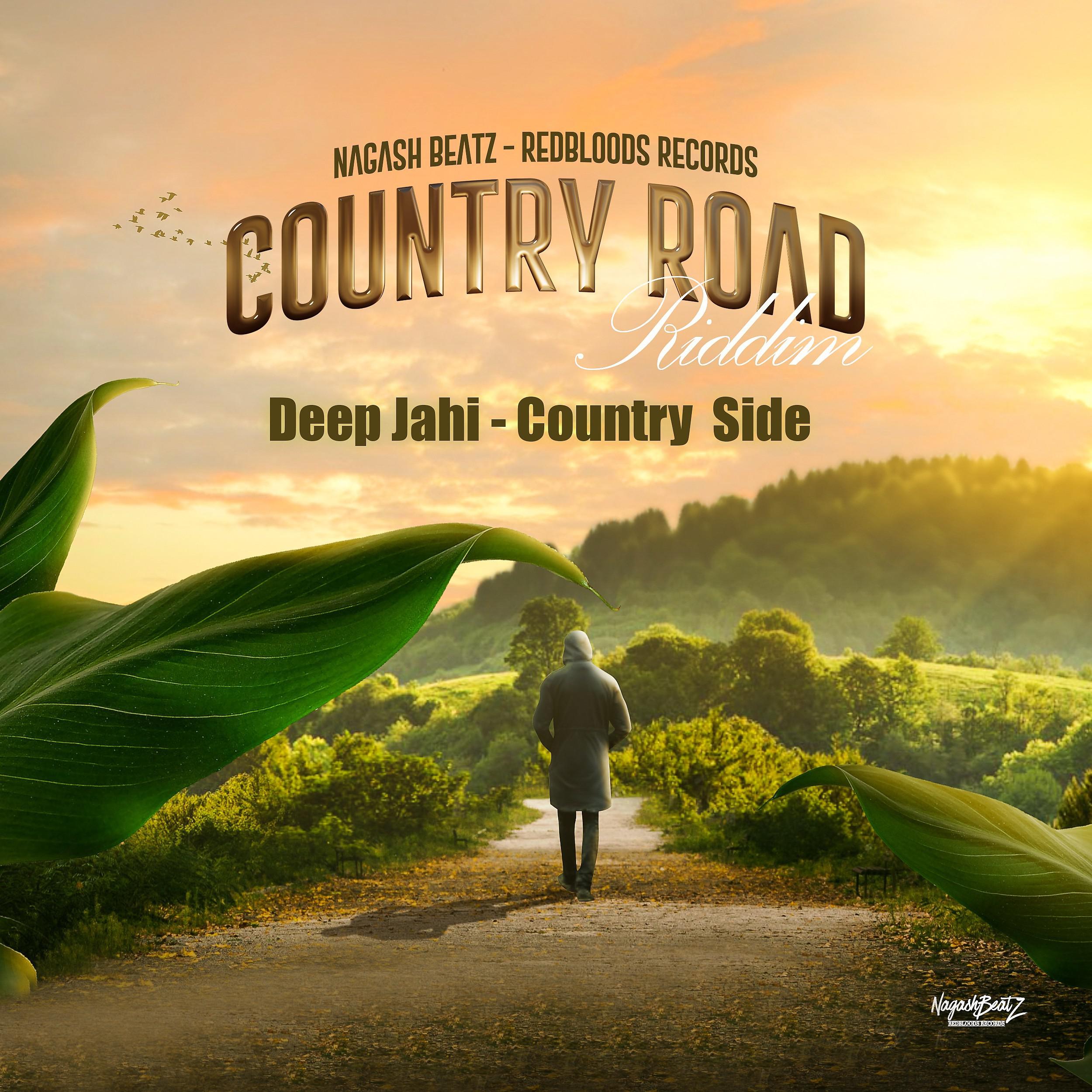 Постер альбома Country Side