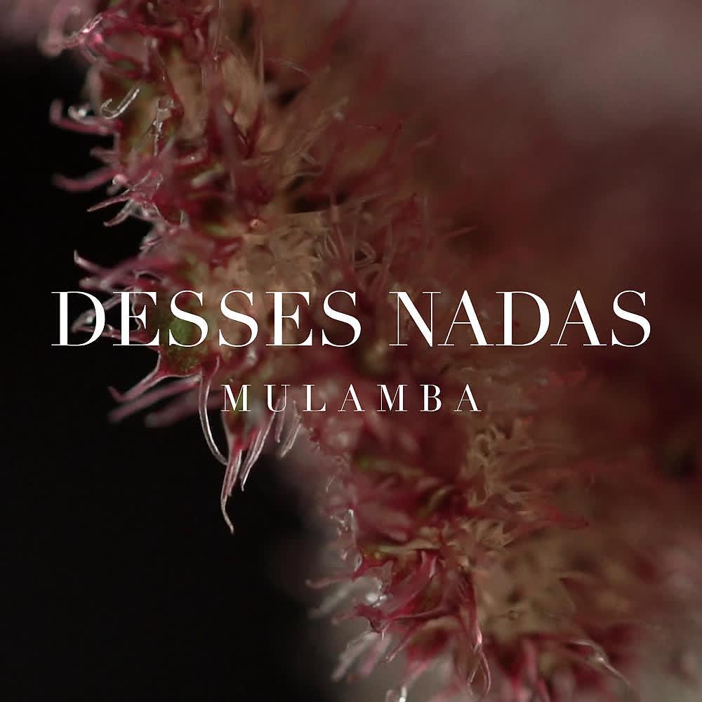 Постер альбома Desses Nadas