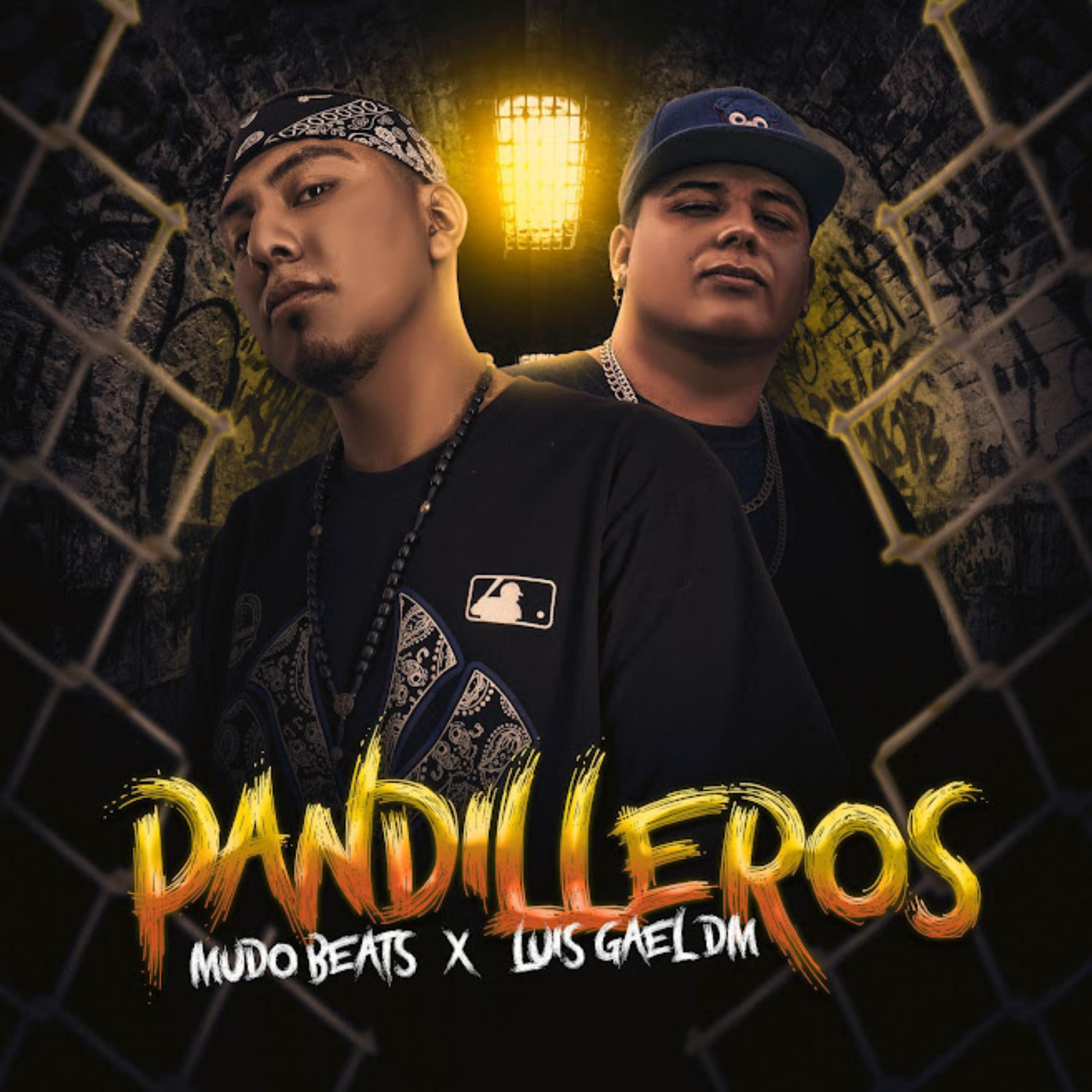 Постер альбома Pandilleros