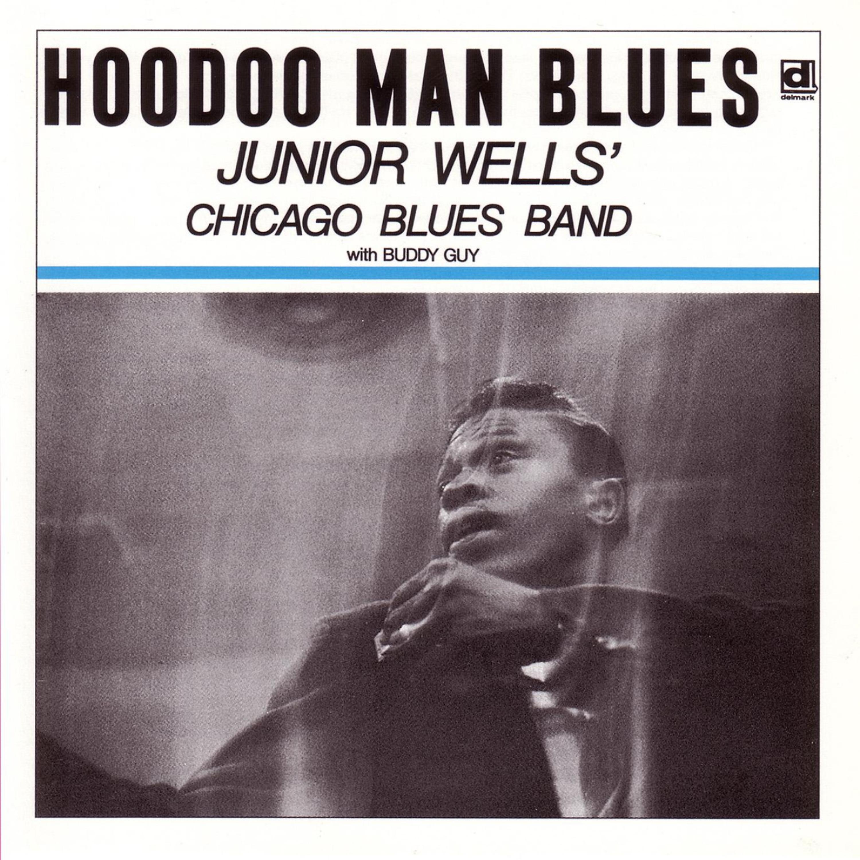 Постер альбома Hoodoo Man Blues