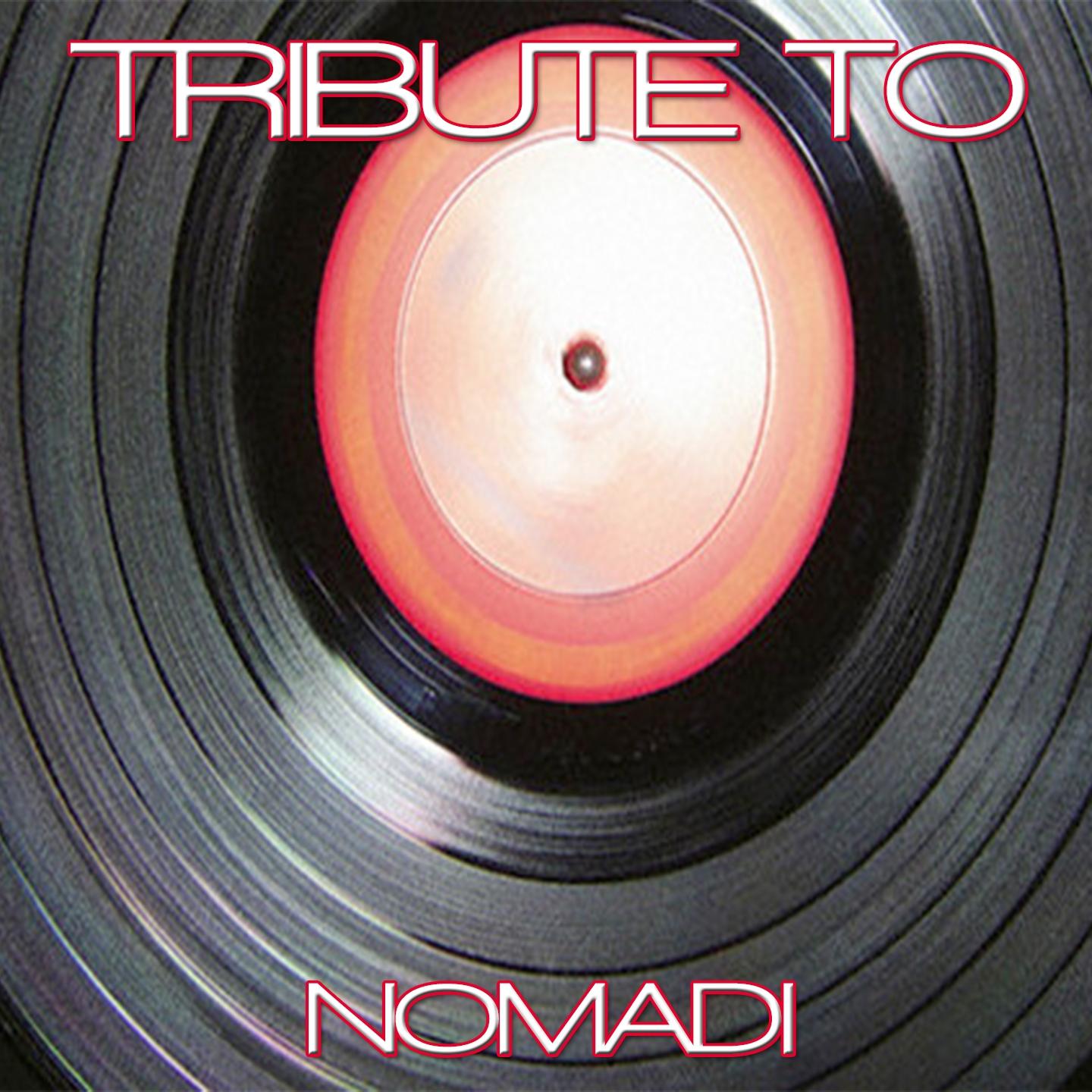 Постер альбома Tribute to Nomadi