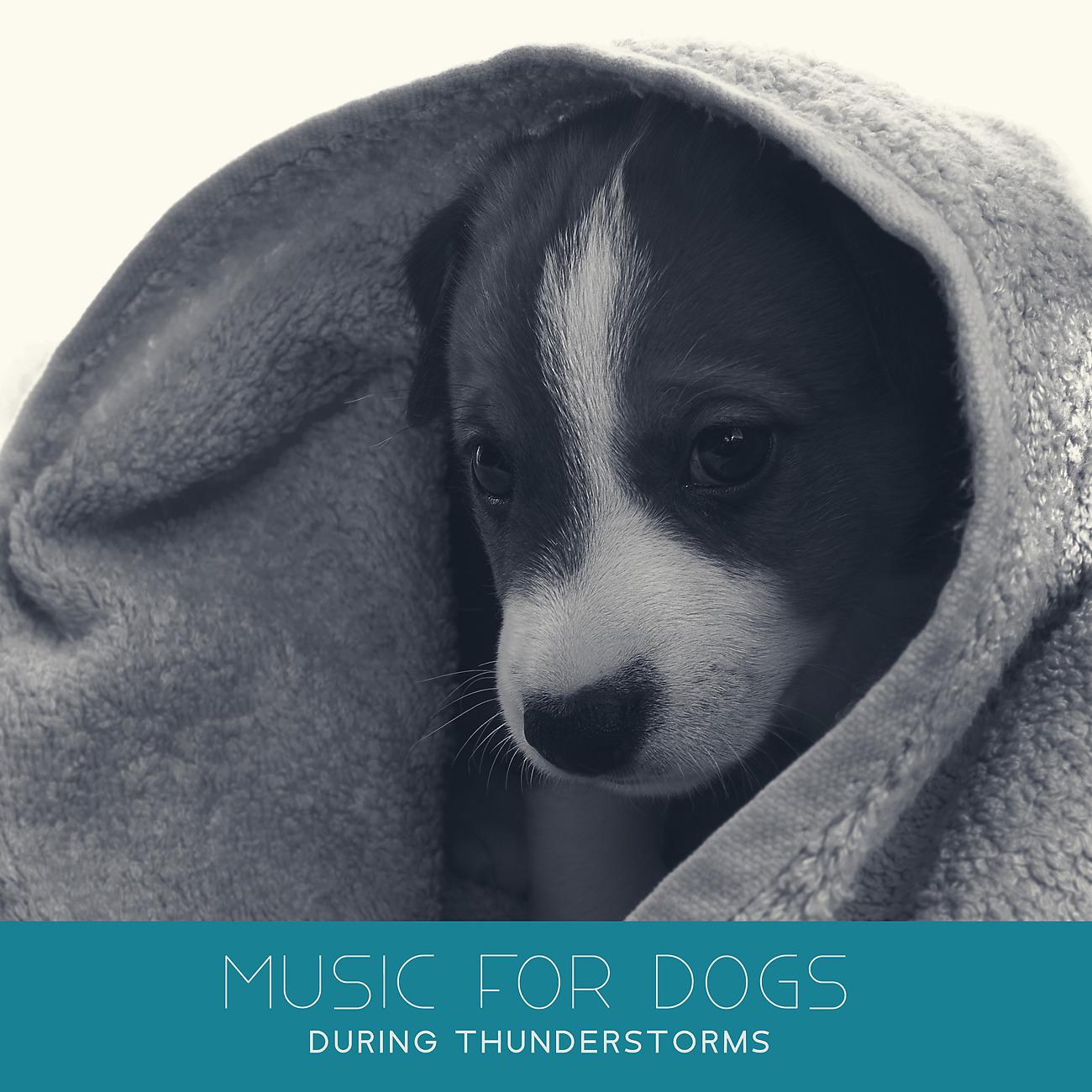 Постер альбома Music for Dogs During Thunderstorms