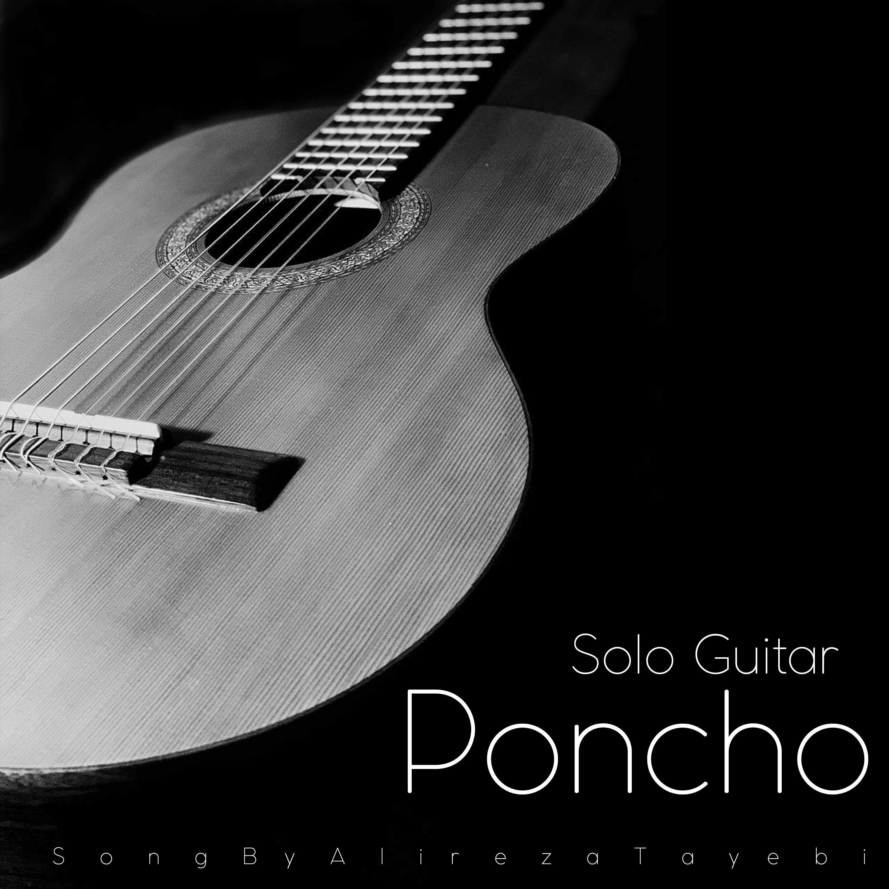 Постер альбома Poncho ( Solo Guitar ) in Cm