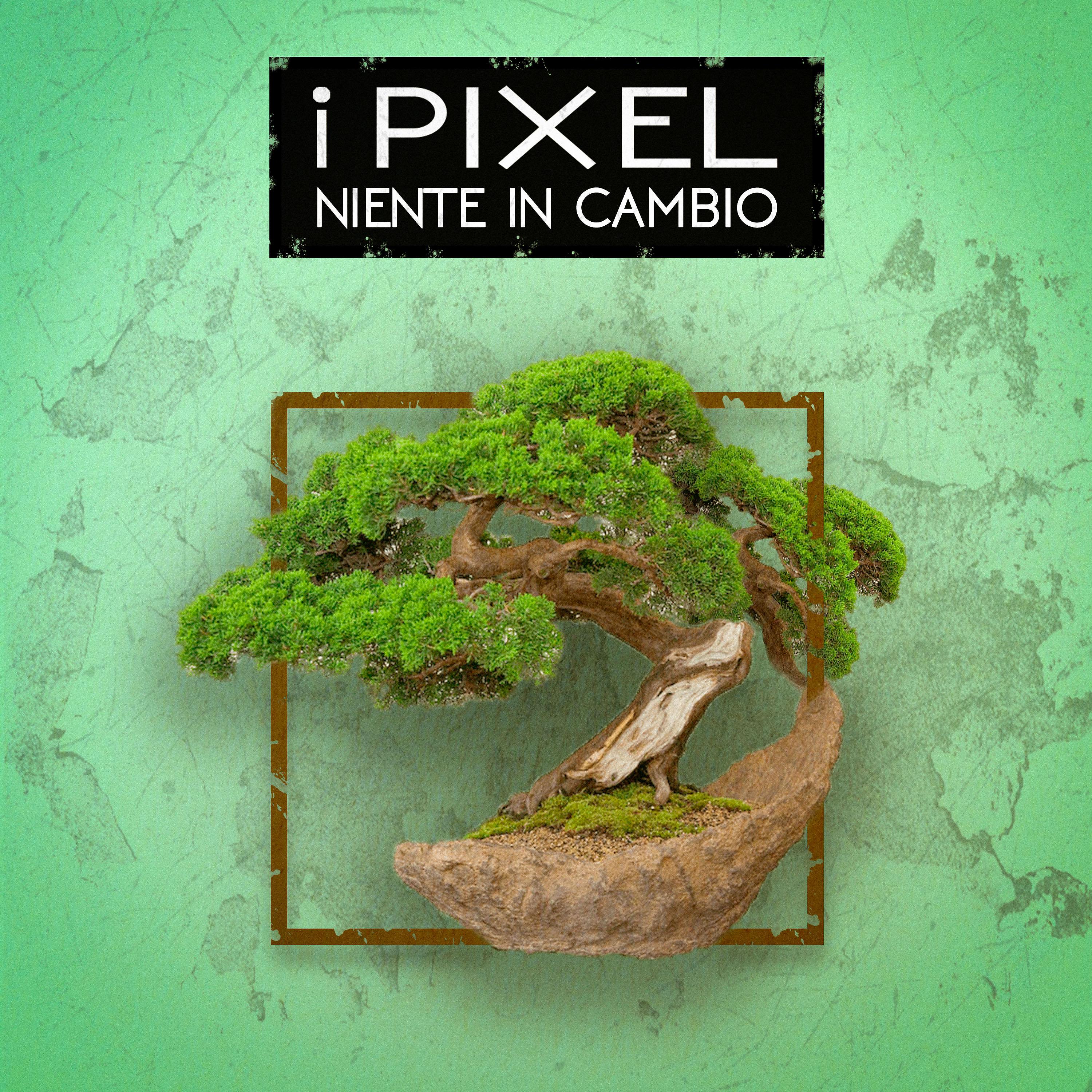Постер альбома Niente In Cambio