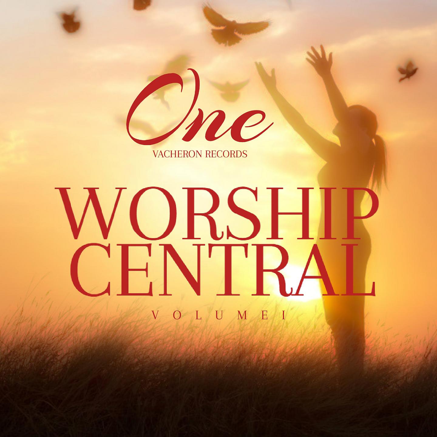 Постер альбома Worship Central, Vol. 1
