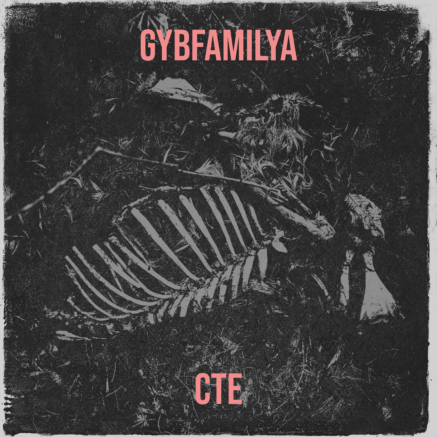 Постер альбома Gybfamilya