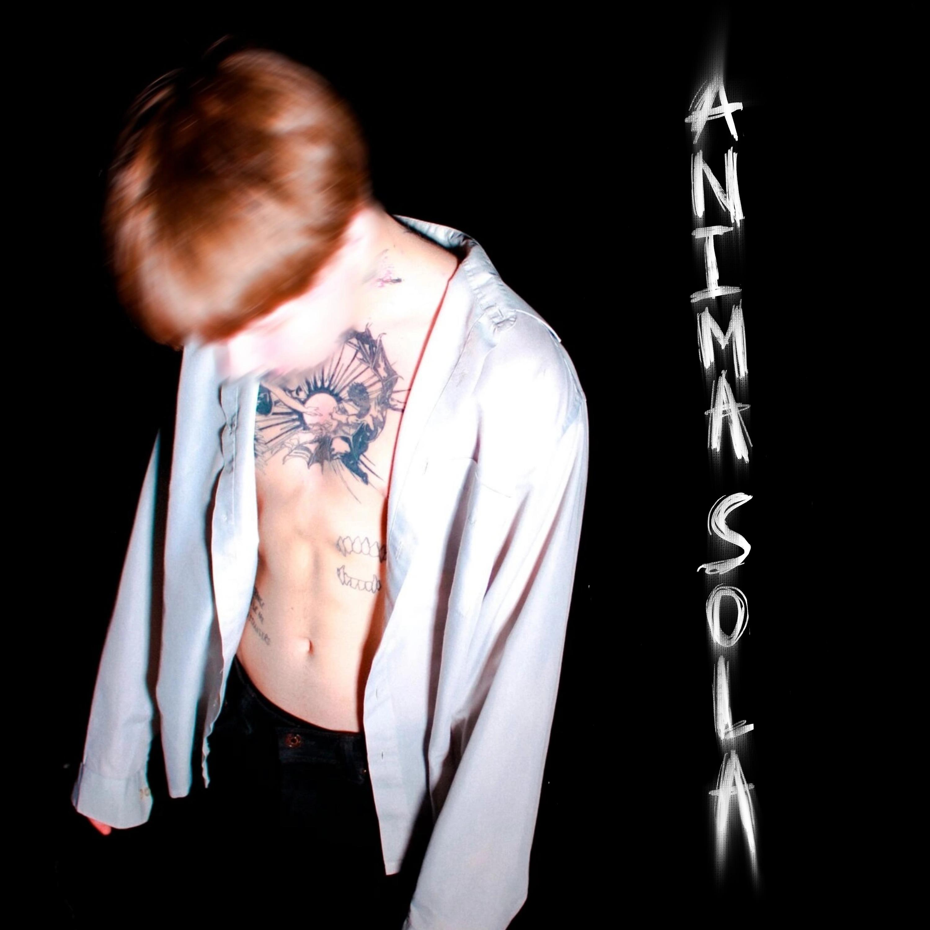 Постер альбома ANIMA SOLA
