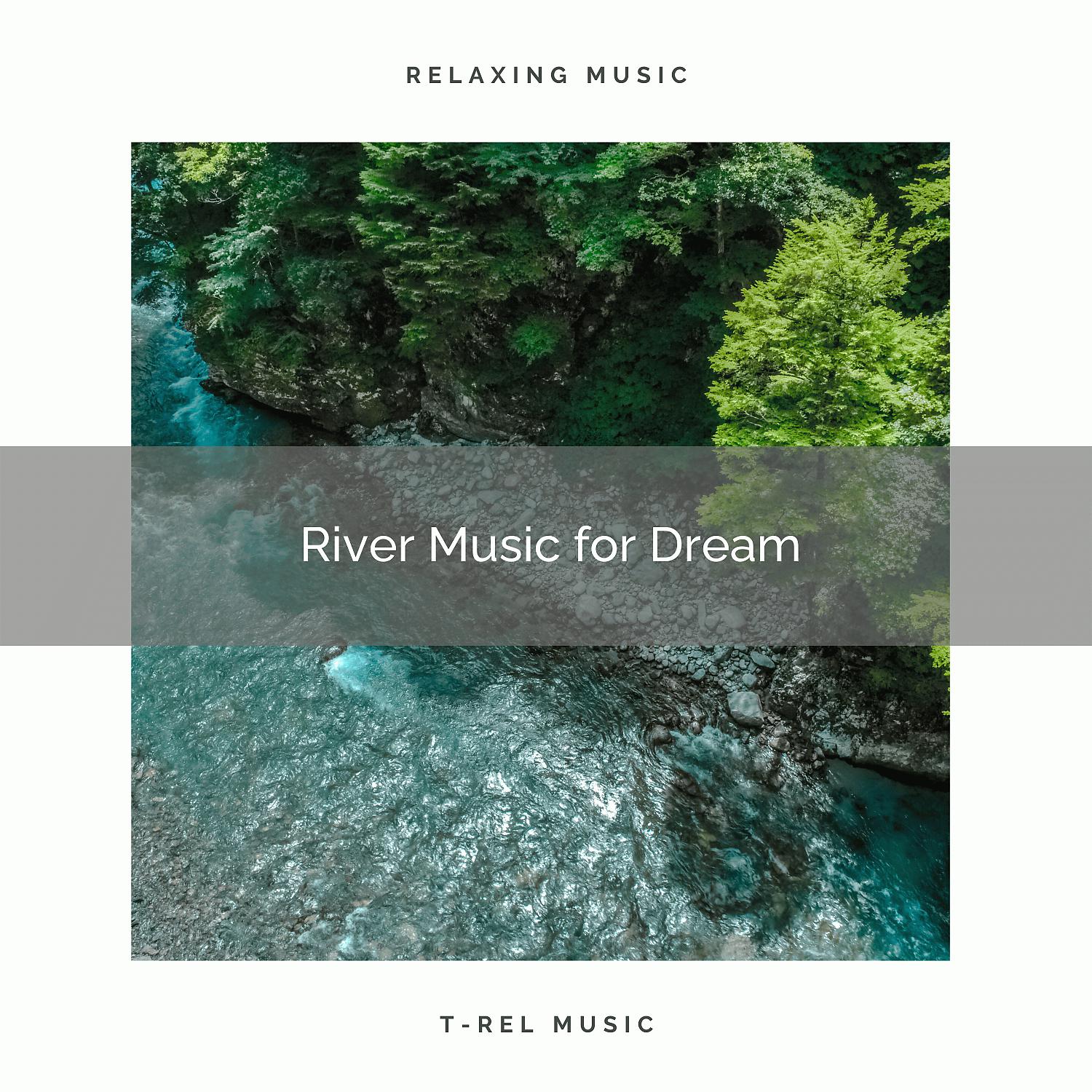 Постер альбома River Music for Dream