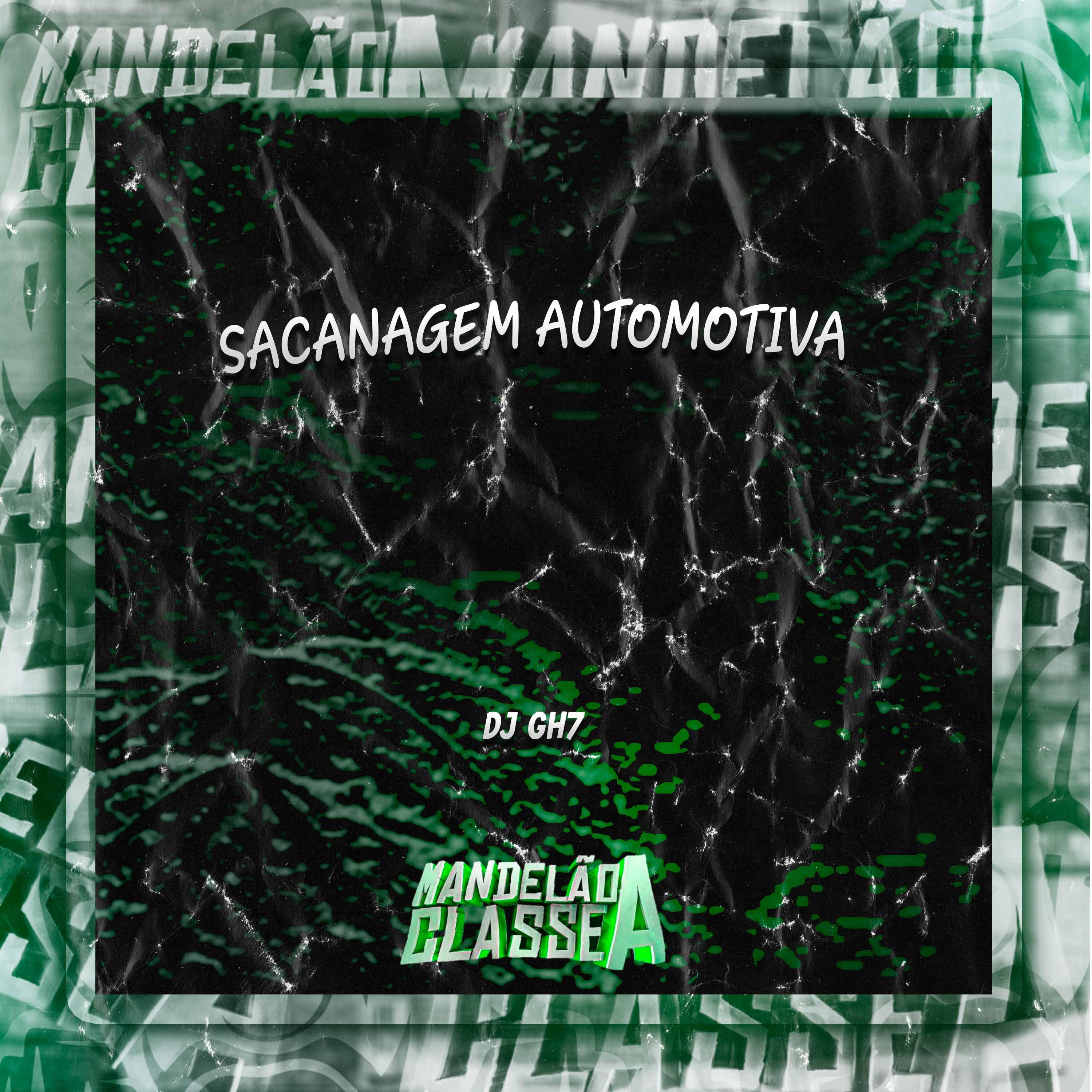 Постер альбома Sacanagem Automotiva