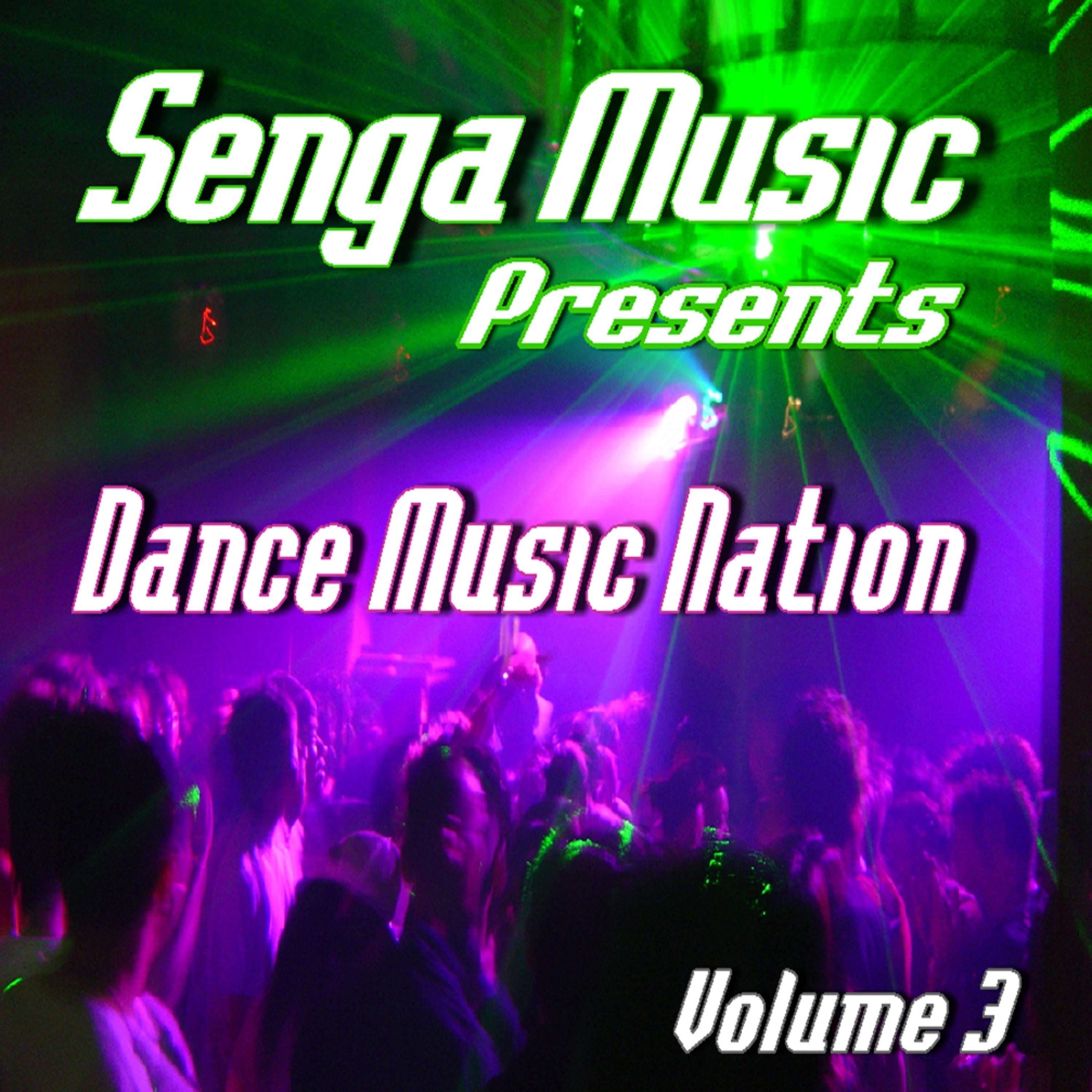Постер альбома Senga Music Presents: Dance Music Nation Volume 3 (Instrumental)