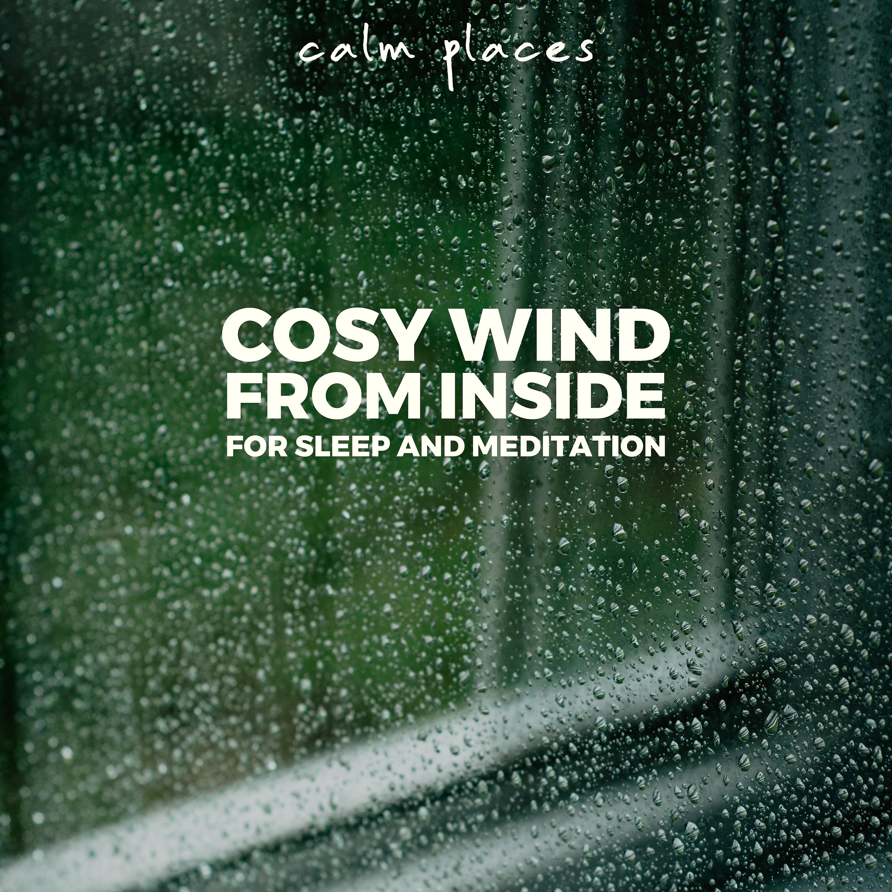 Постер альбома Cosy Wind from Inside for Sleep and Meditation