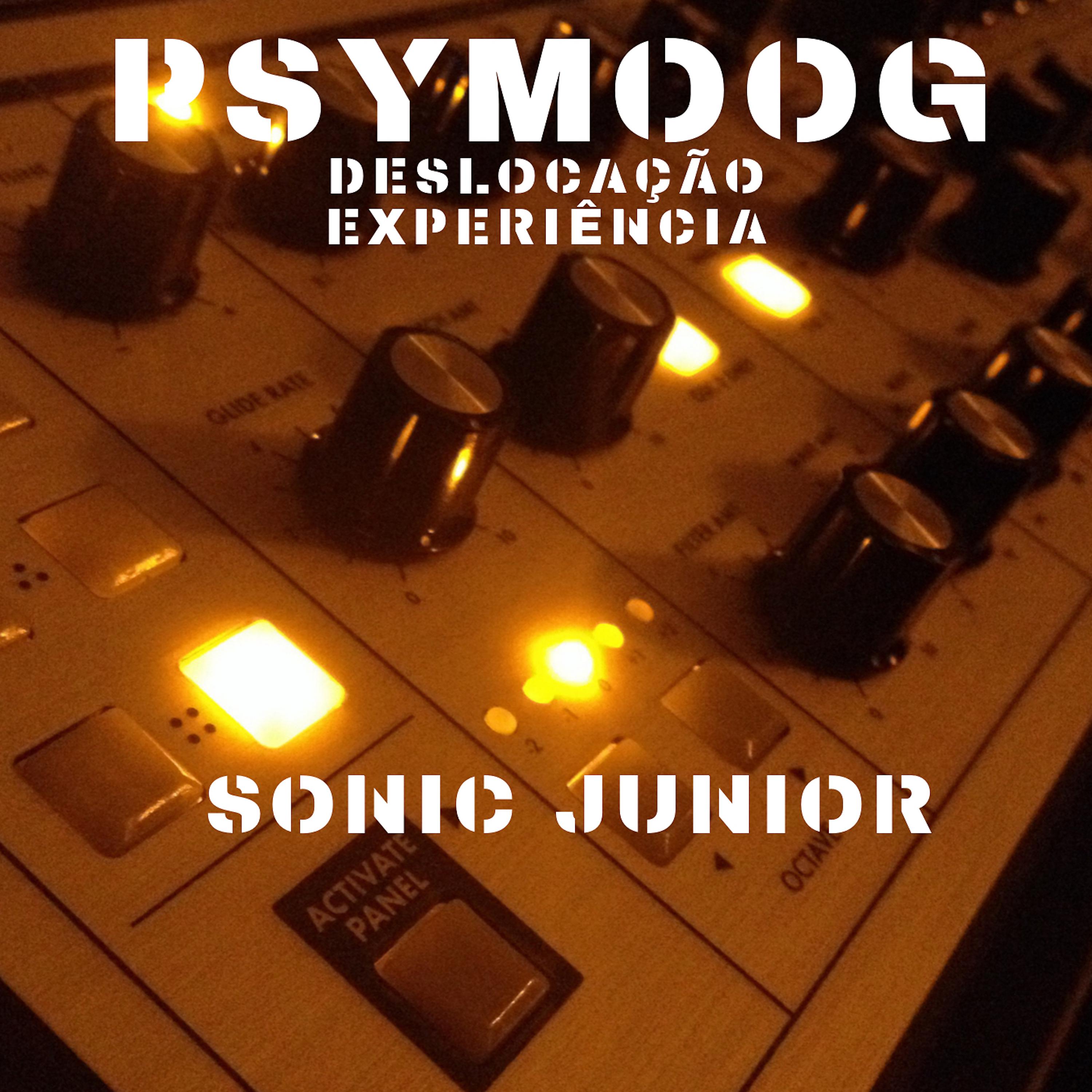 Постер альбома Psymoog - Deslocação Experiência