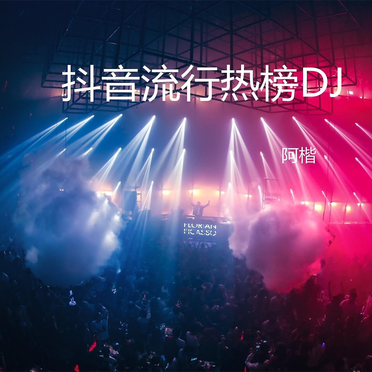 Постер альбома 抖音流行热榜DJ