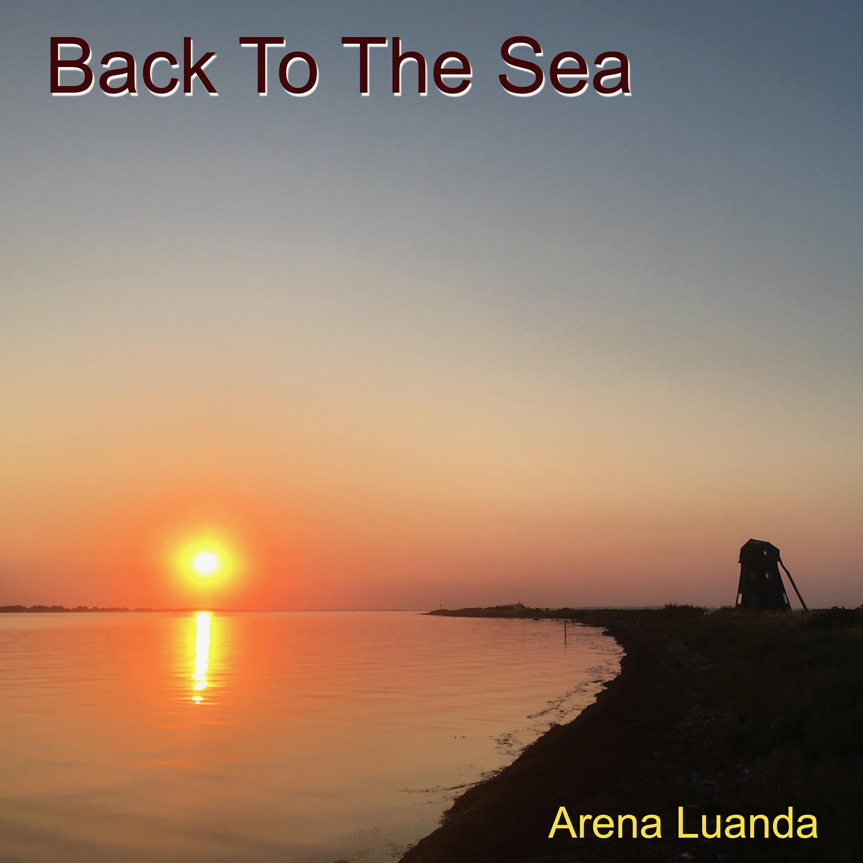Постер альбома Back to the Sea