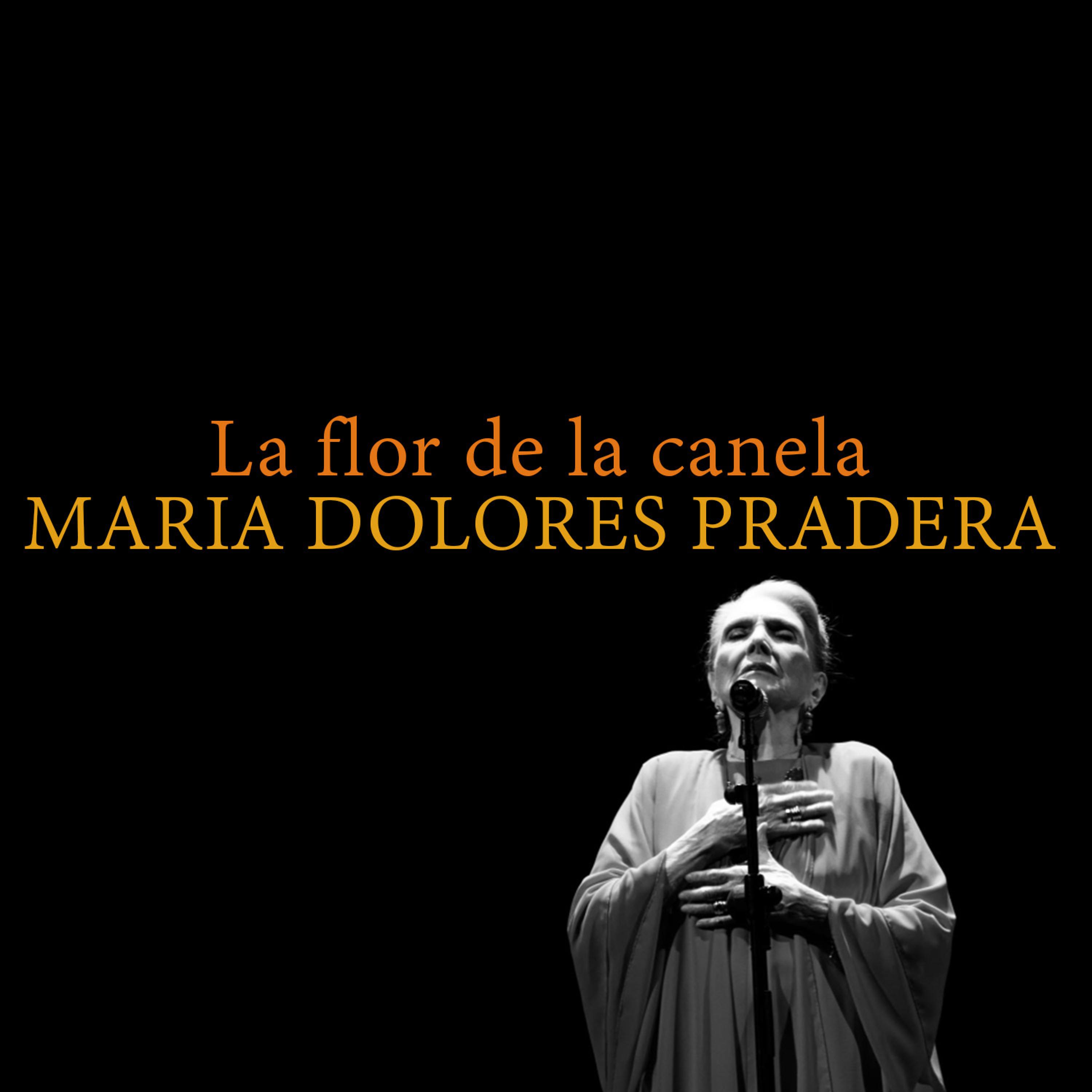 Постер альбома La Flor de la Canela
