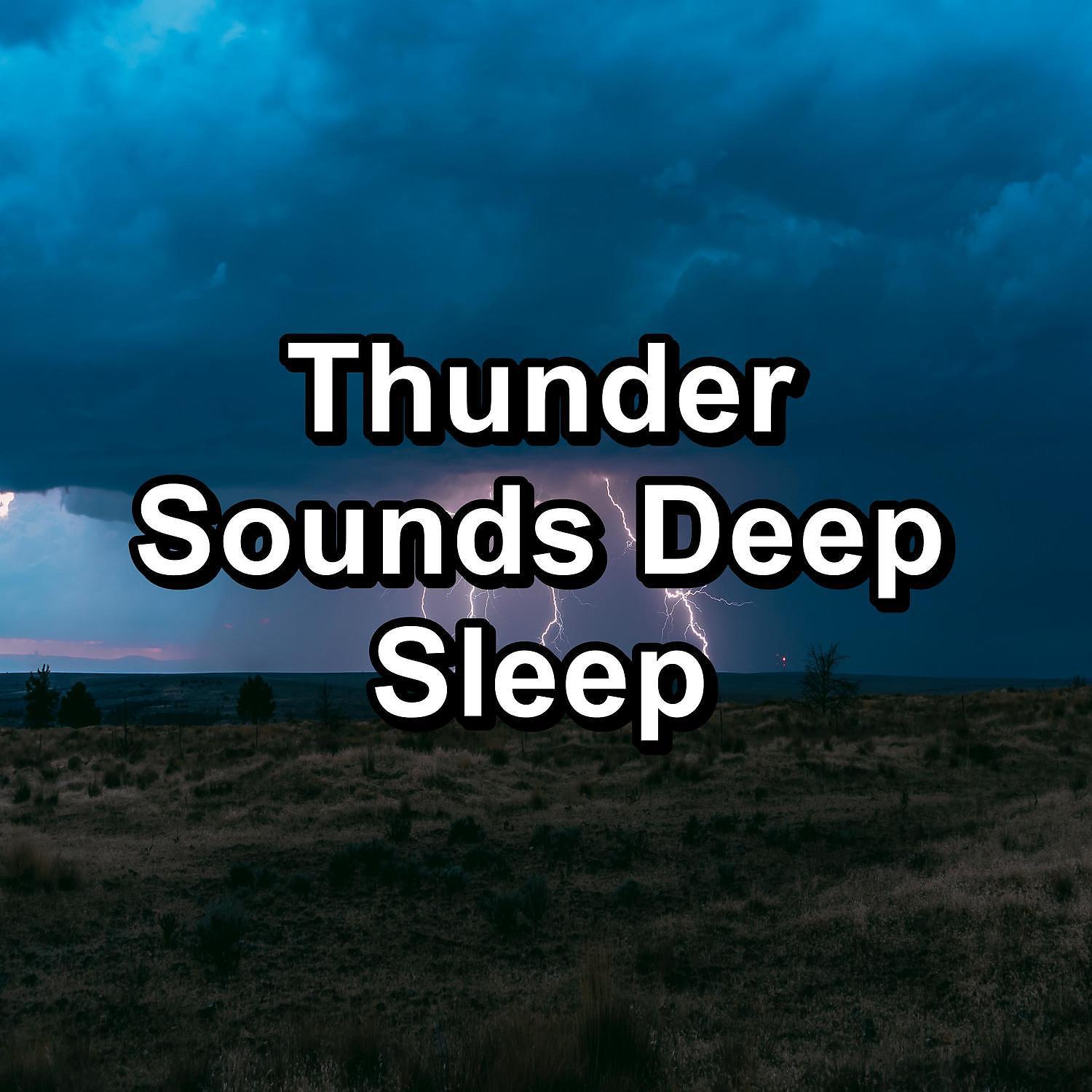 Постер альбома Thunder Sounds Deep Sleep