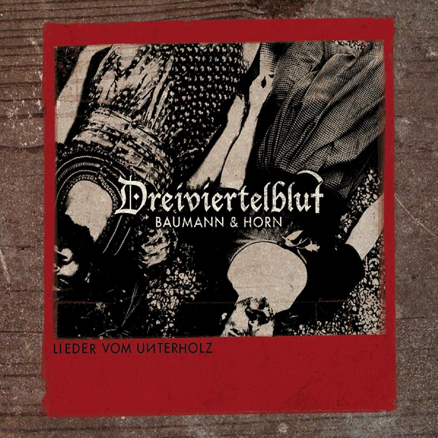 Постер альбома Lieder vom Unterholz