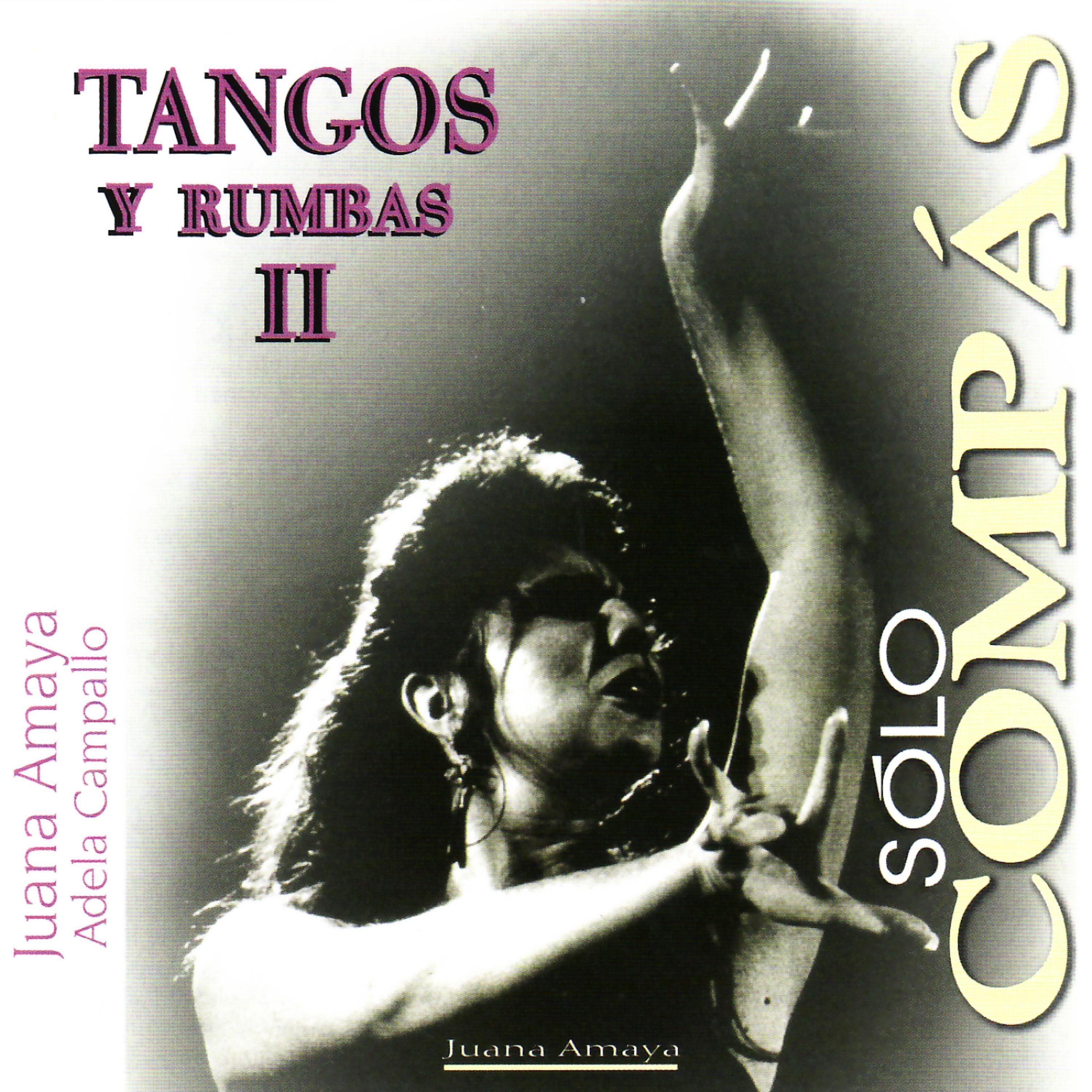 Постер альбома Tangos Y Rumbas II