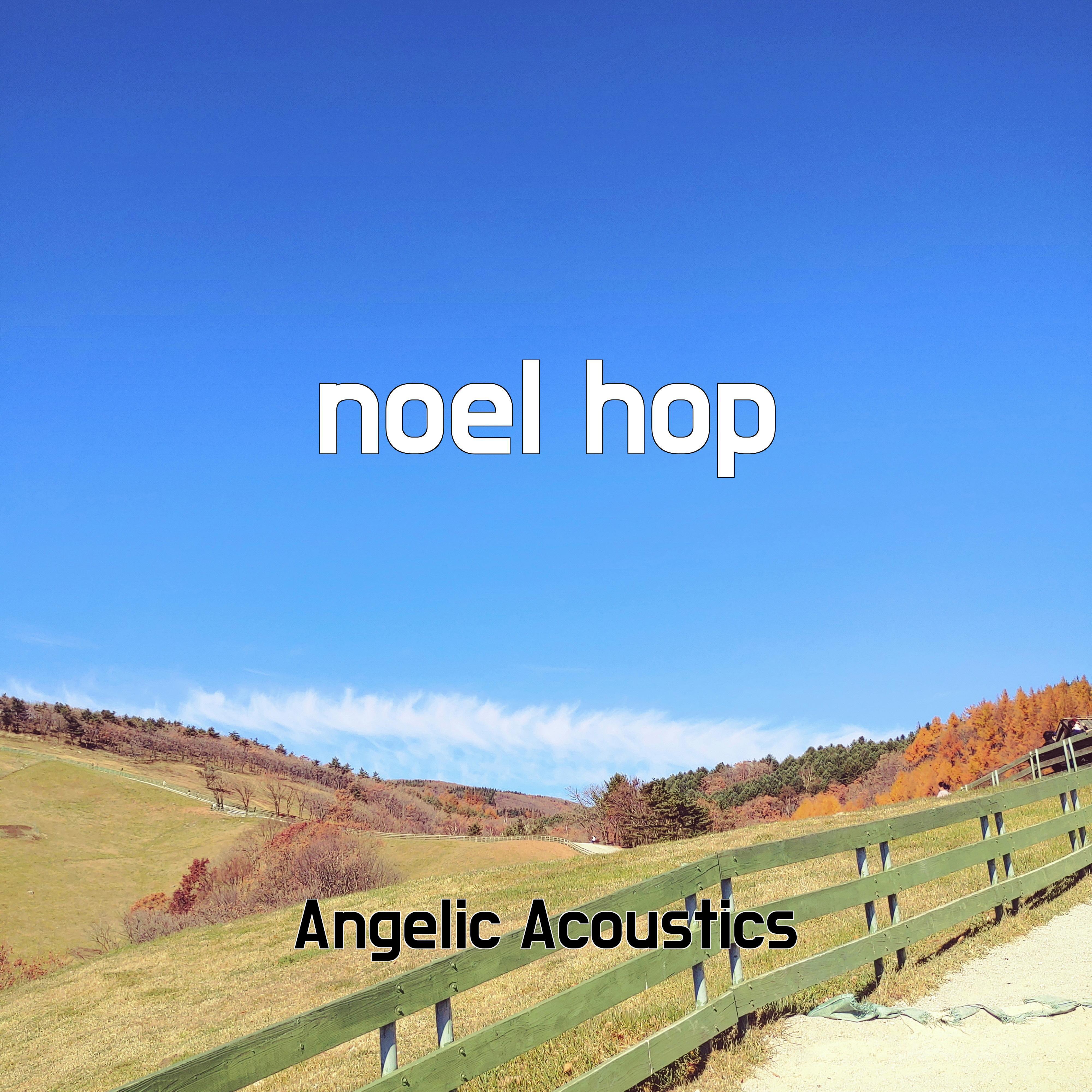 Постер альбома noel hop
