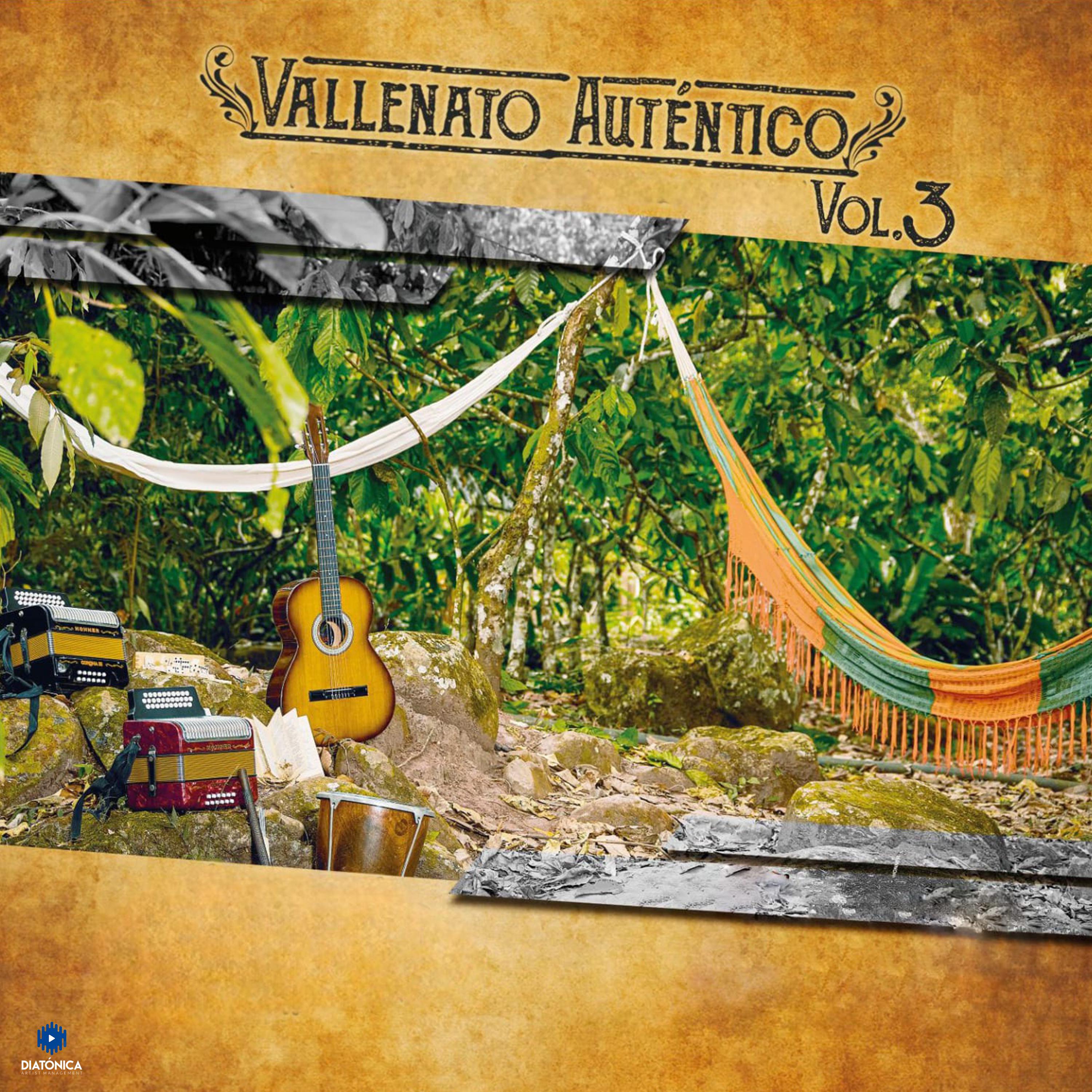 Постер альбома Vallenato Autentico Vol.3