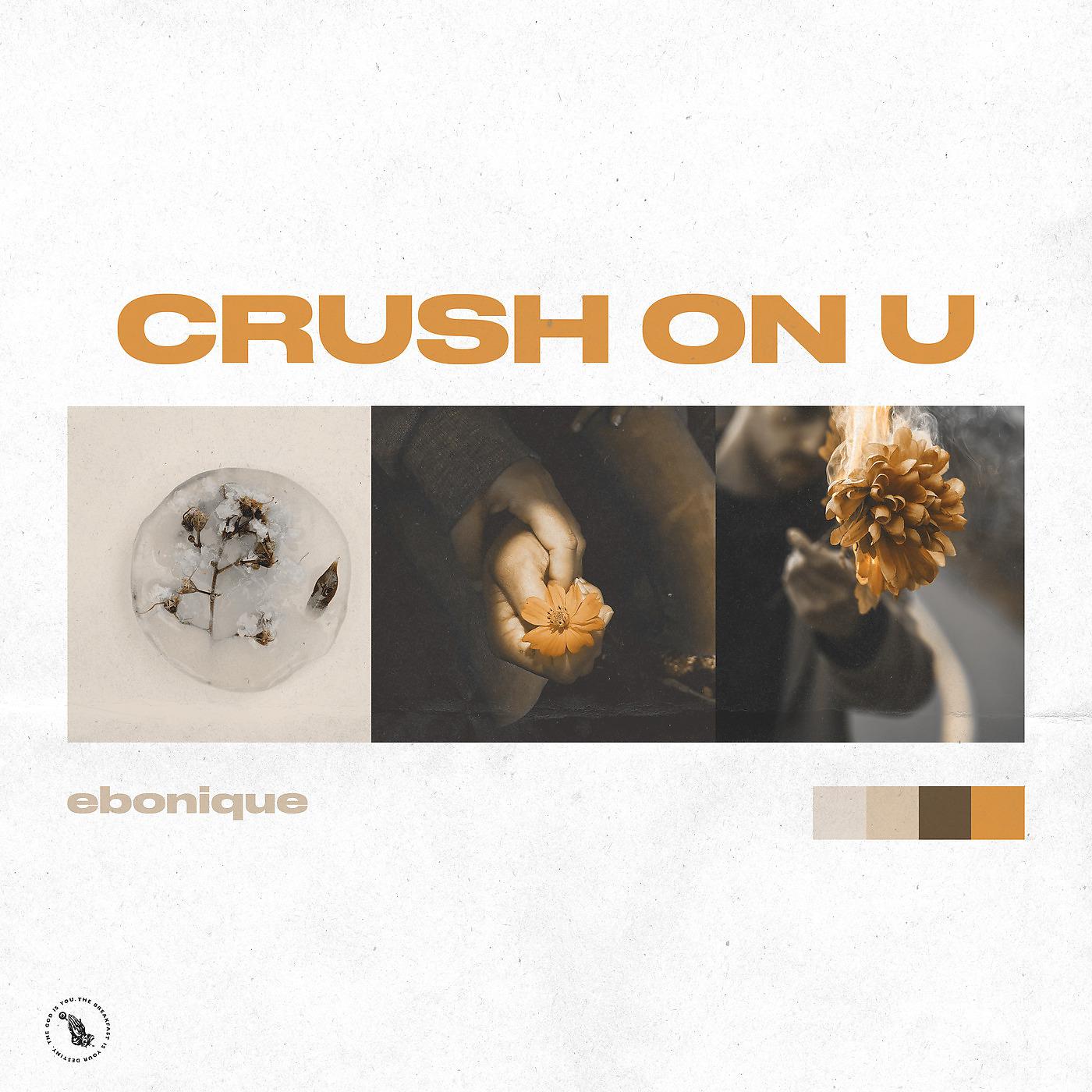 Постер альбома Crush on U