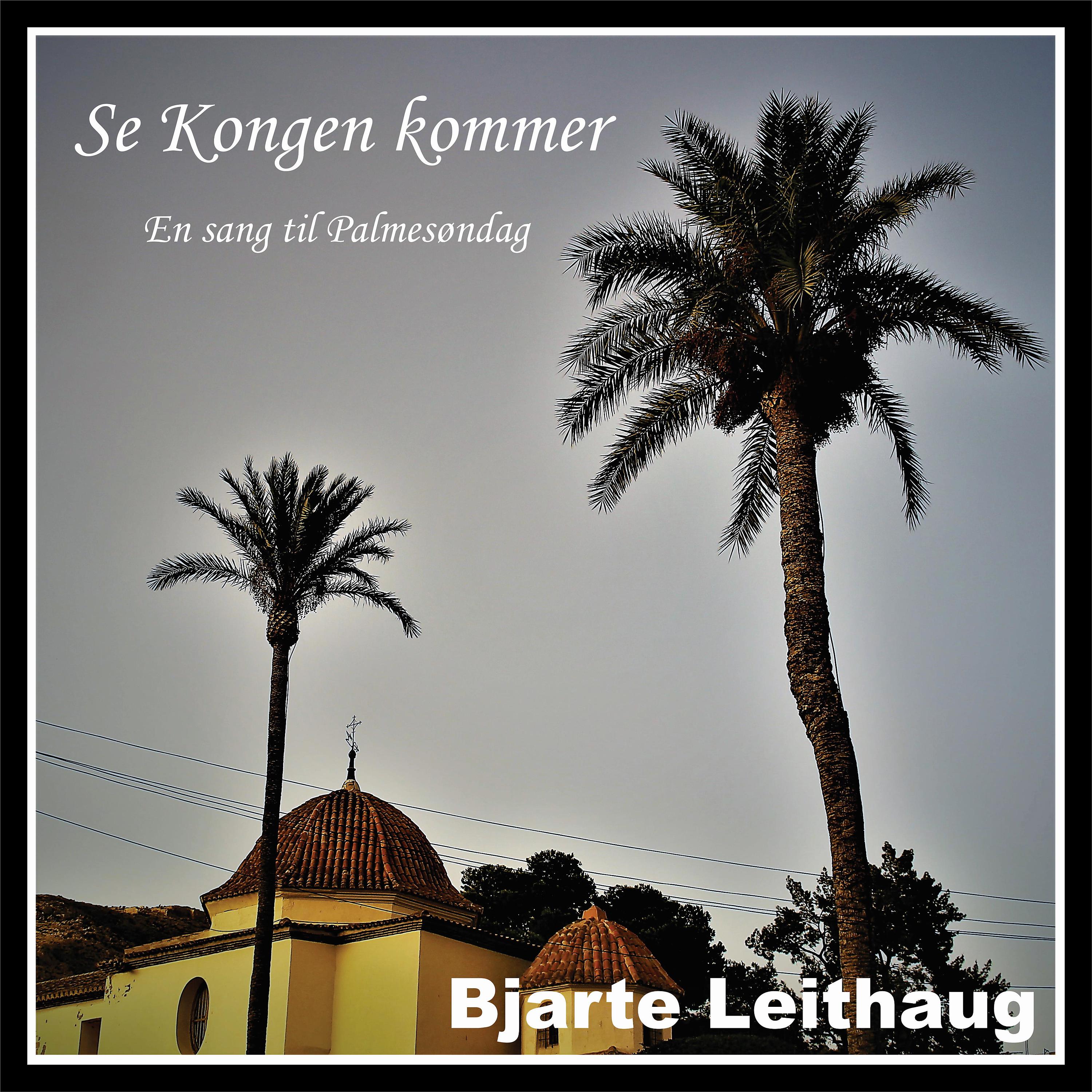 Постер альбома Se Kongen Kommer (En Sang Til Palmesøndag)