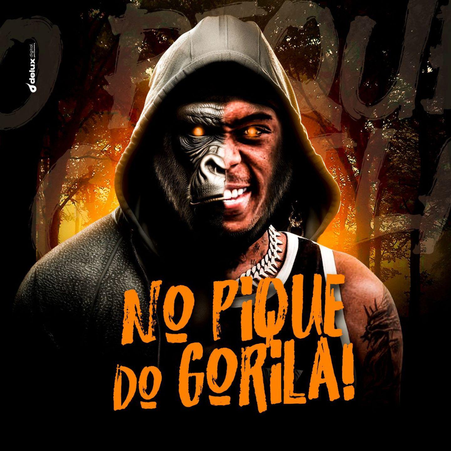 Постер альбома NO PIQUE DO GORILA