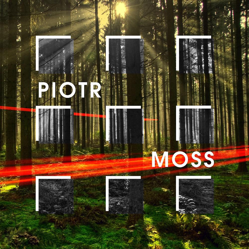 Постер альбома Piotr Moss