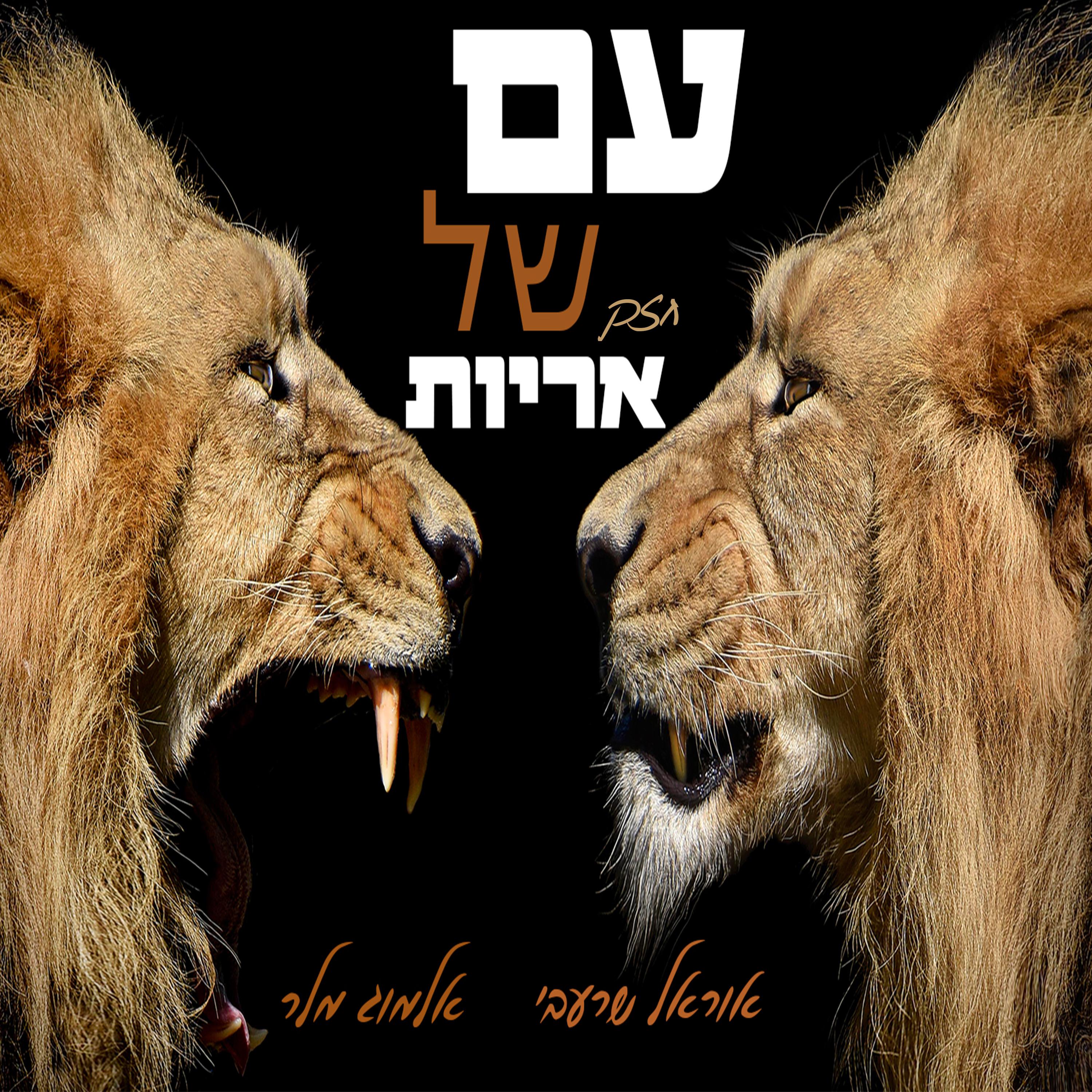 Постер альбома עם חזק של אריות