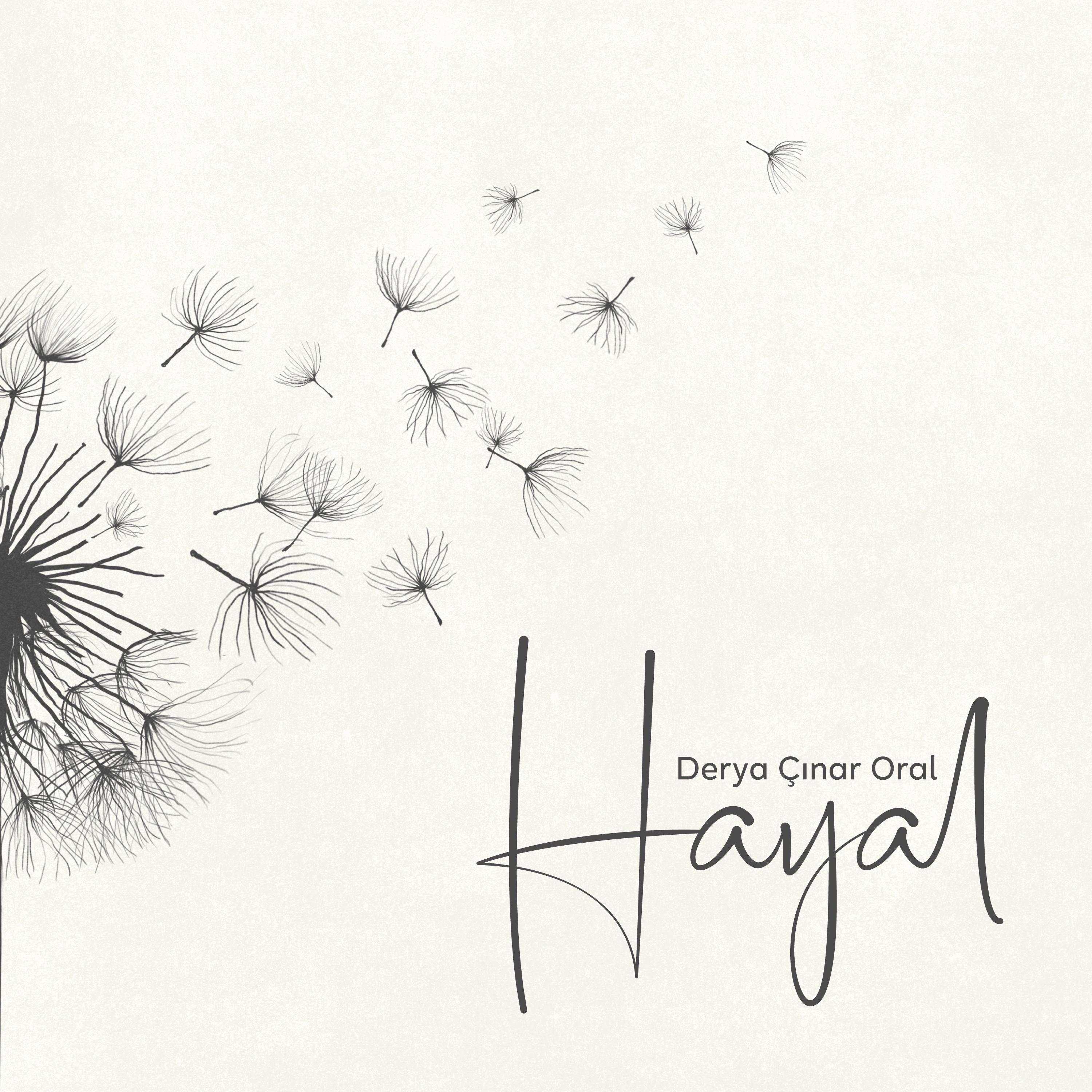 Постер альбома Hayal