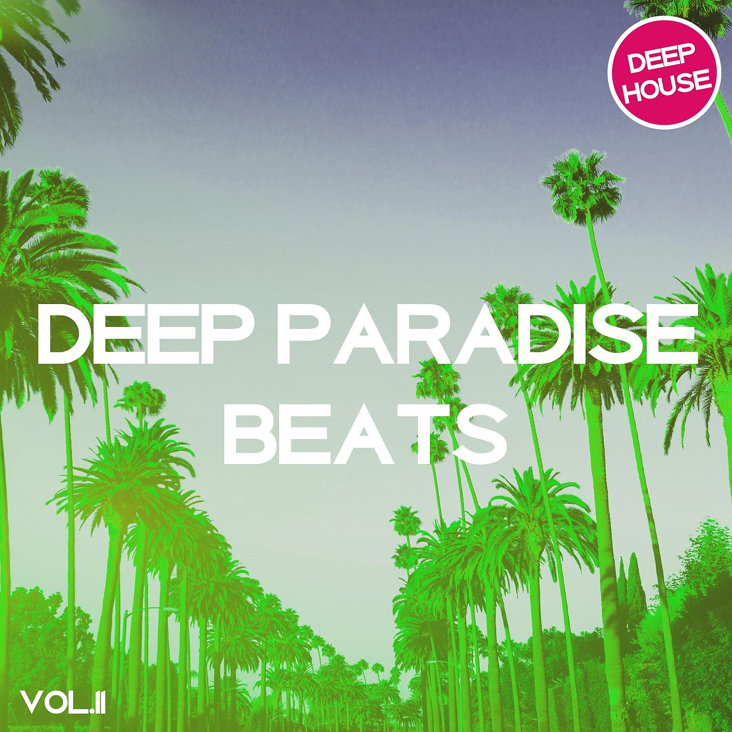 Постер альбома Deep Paradise Beats, Vol. 2