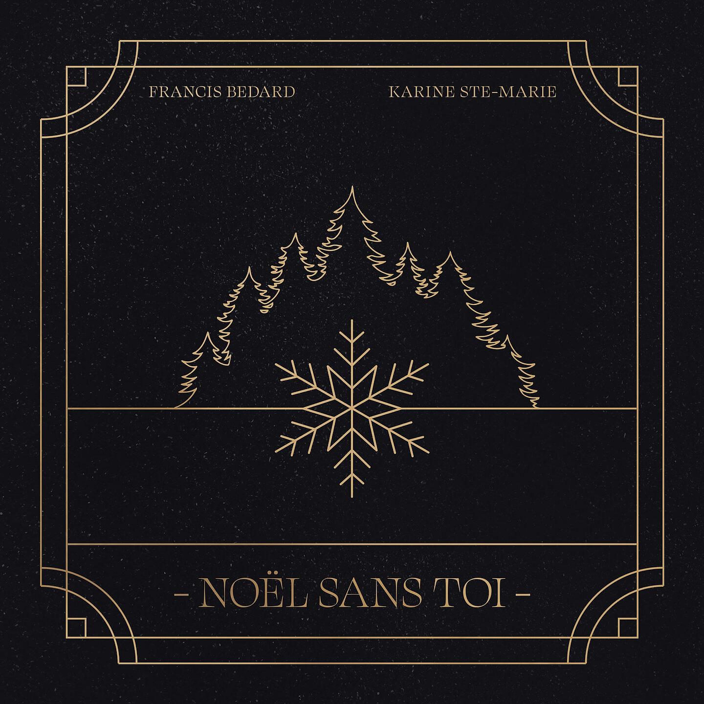 Постер альбома Noël sans toi