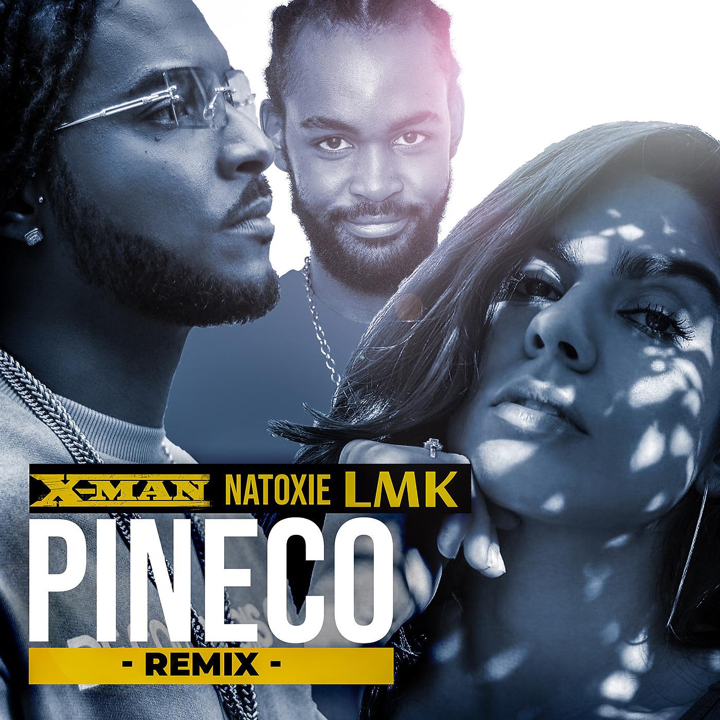 Постер альбома Pineco (Remix)