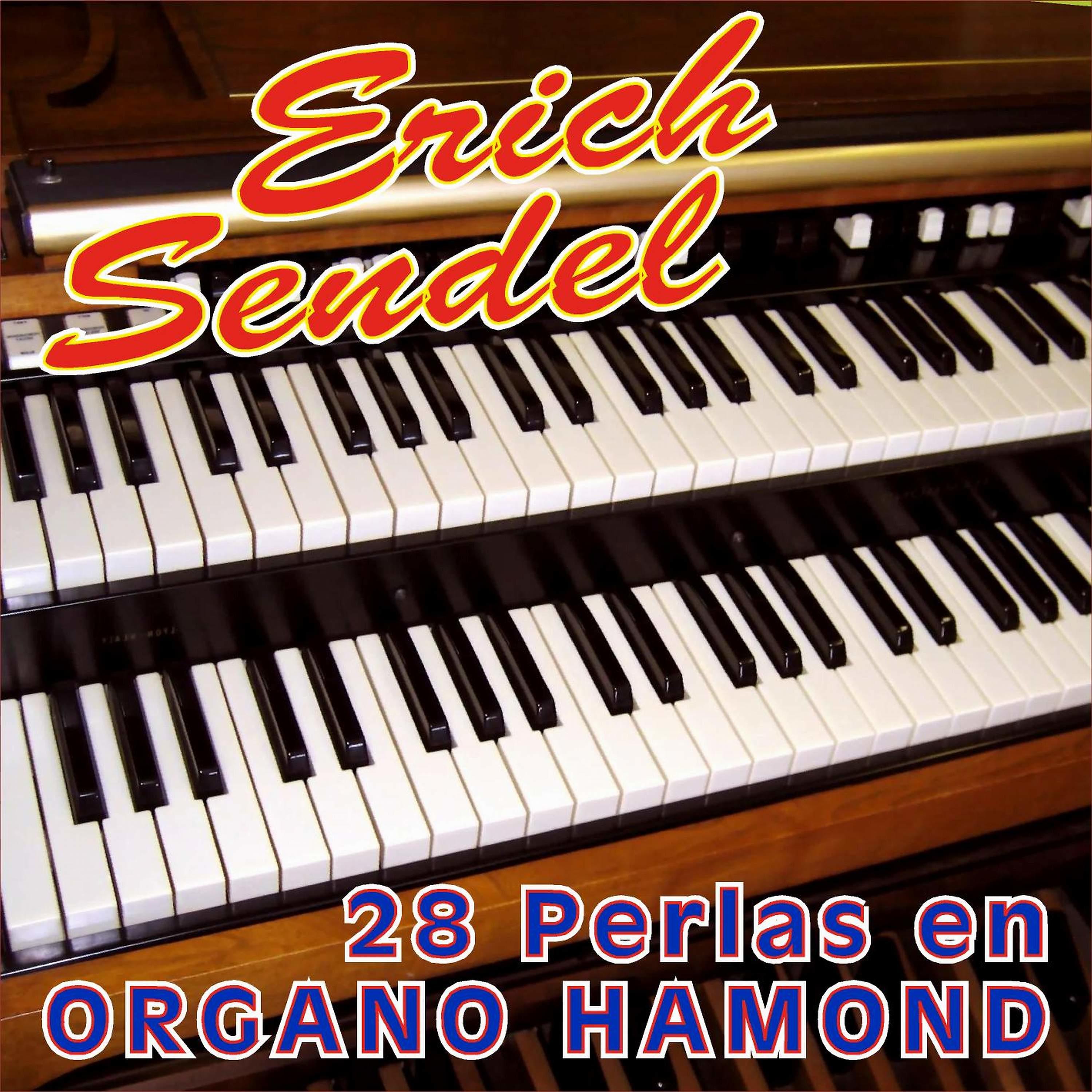 Постер альбома 28 Perlas en Organo Hammond