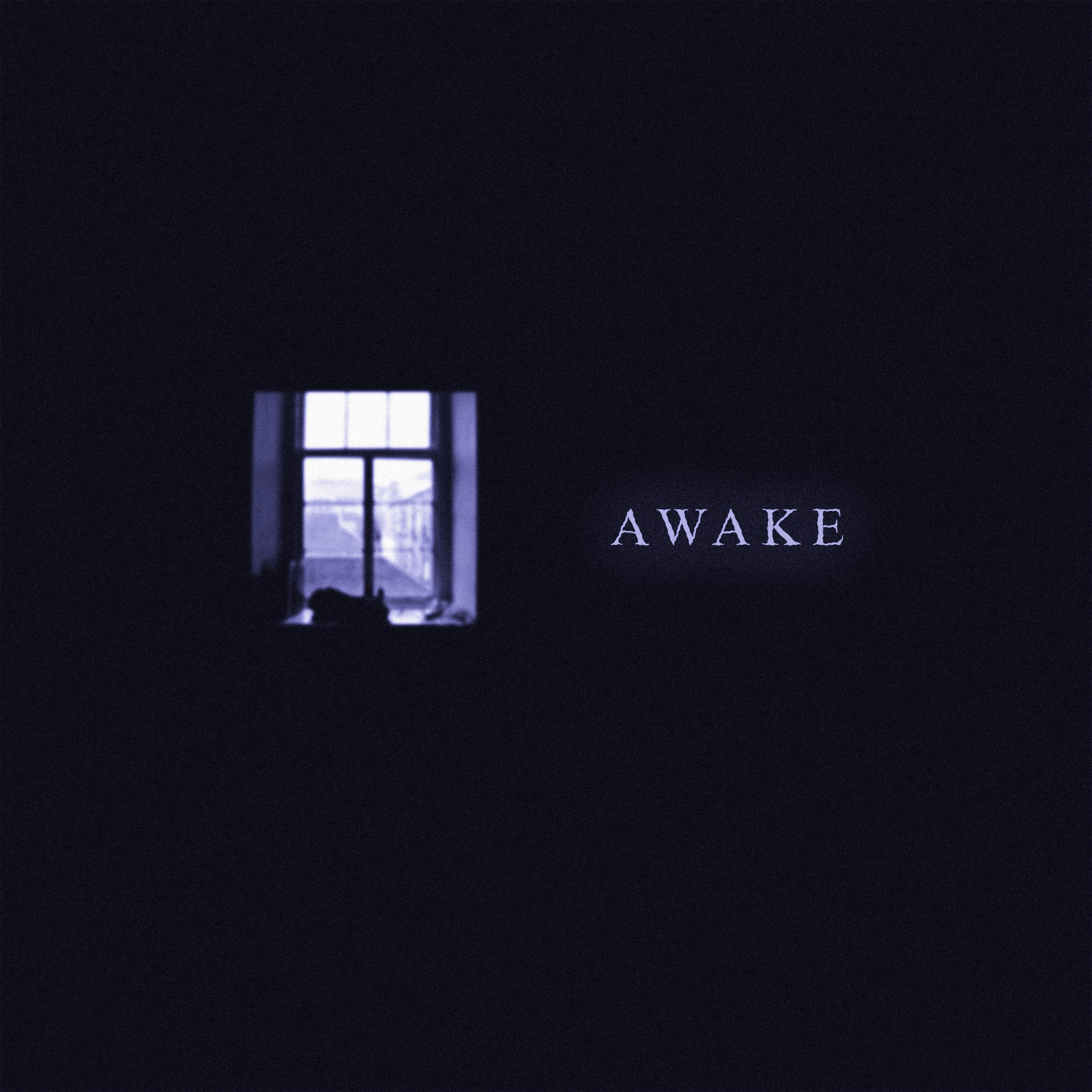 Постер альбома Awake