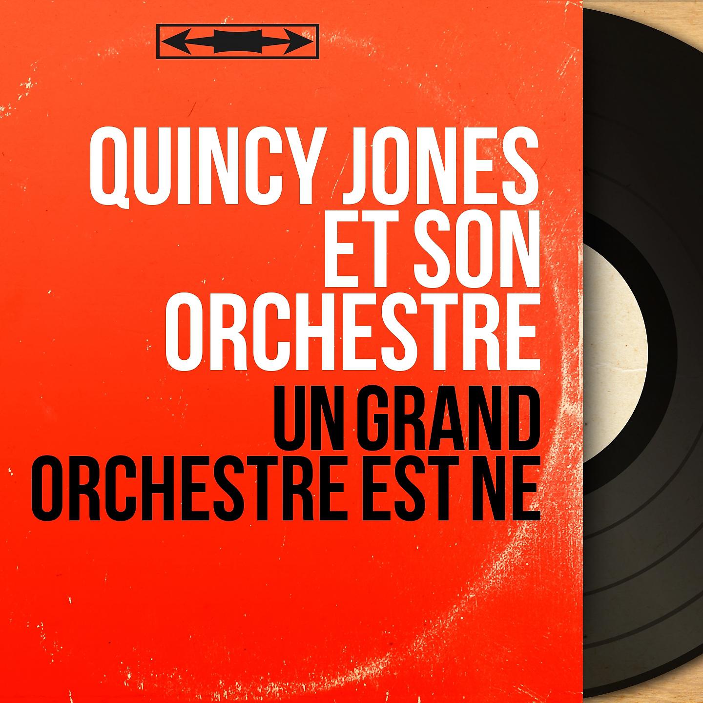 Постер альбома Un grand orchestre est né