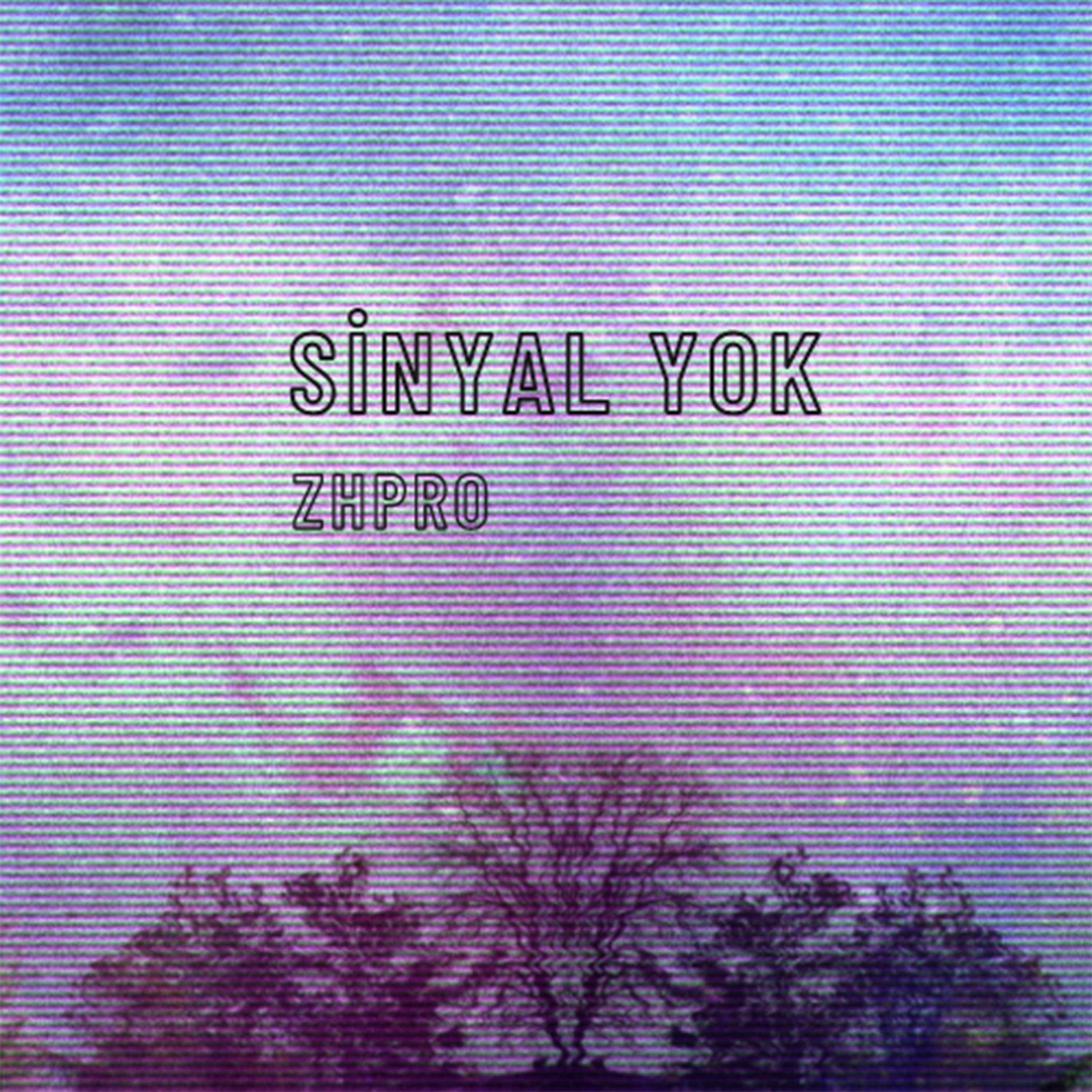 Постер альбома Sinyal Yok