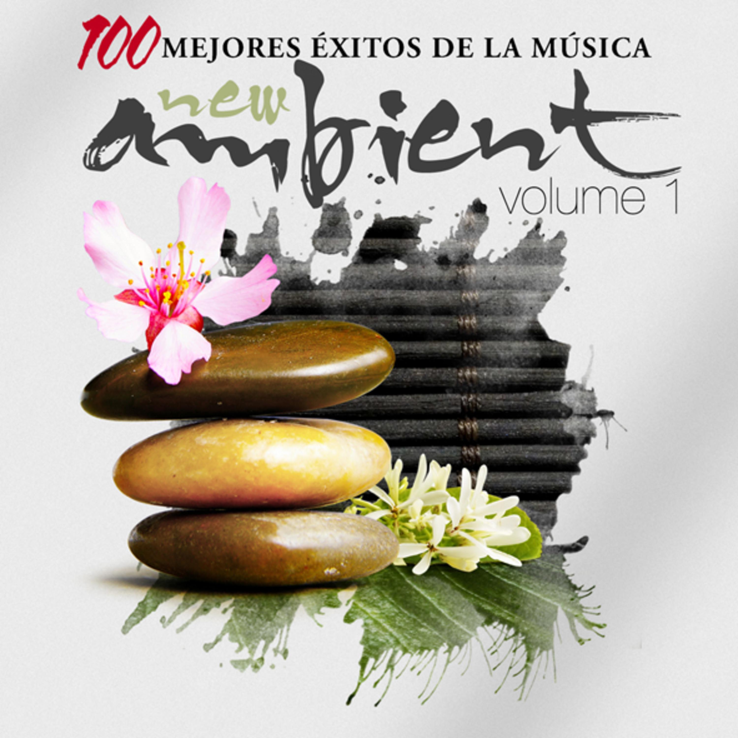 Постер альбома 100 Mejores Éxitos de la Música New Ambient Vol.1
