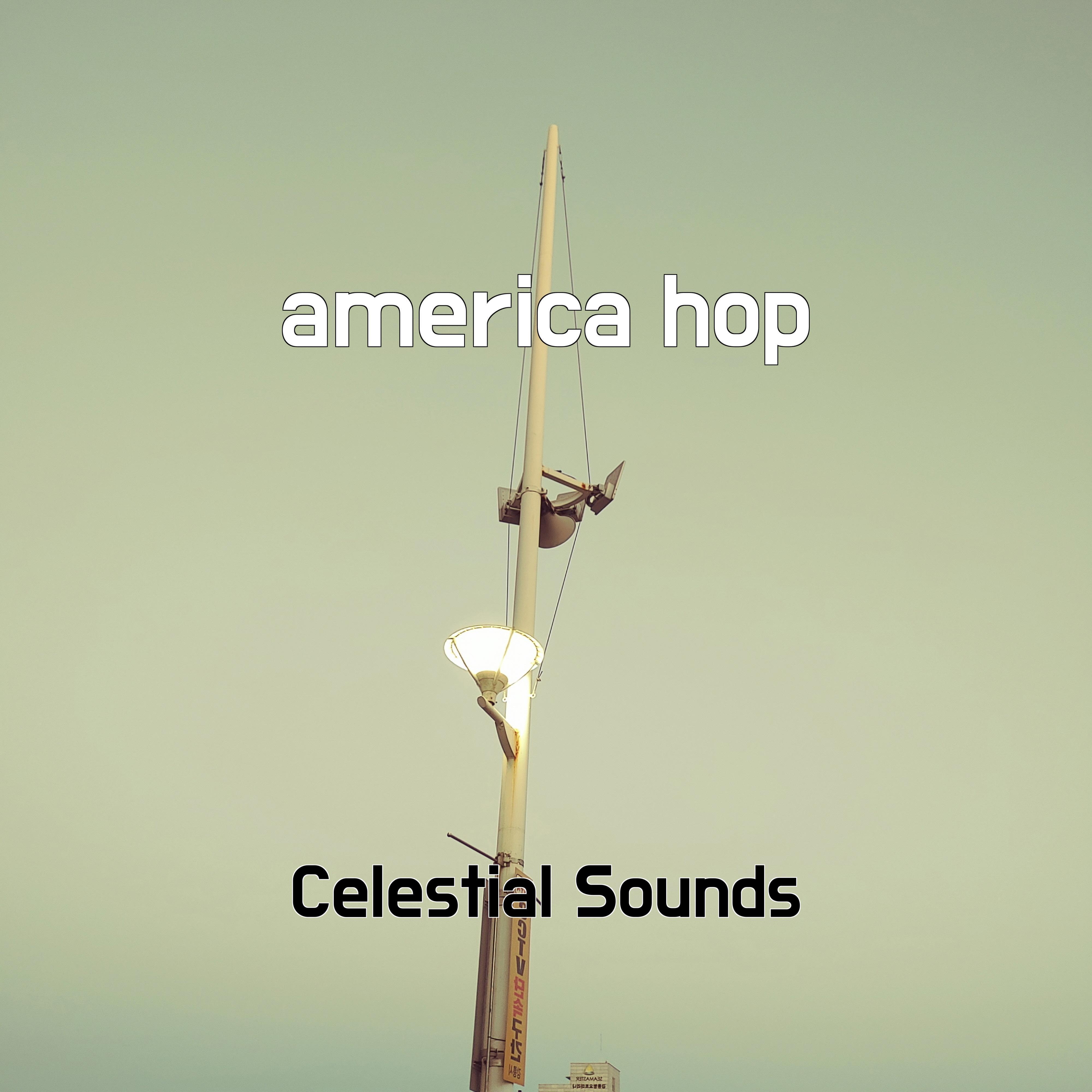 Постер альбома america hop