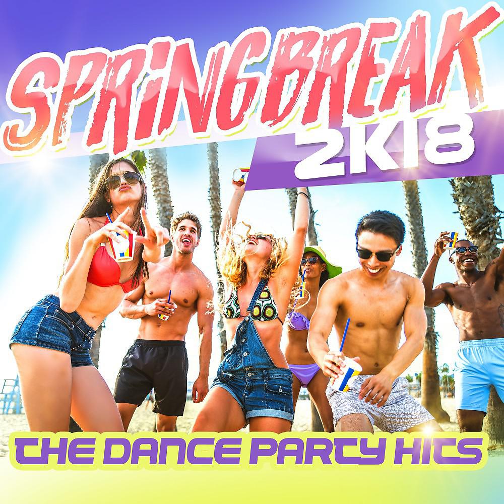 Постер альбома Springbreak 2k18: The Dance Party Hits