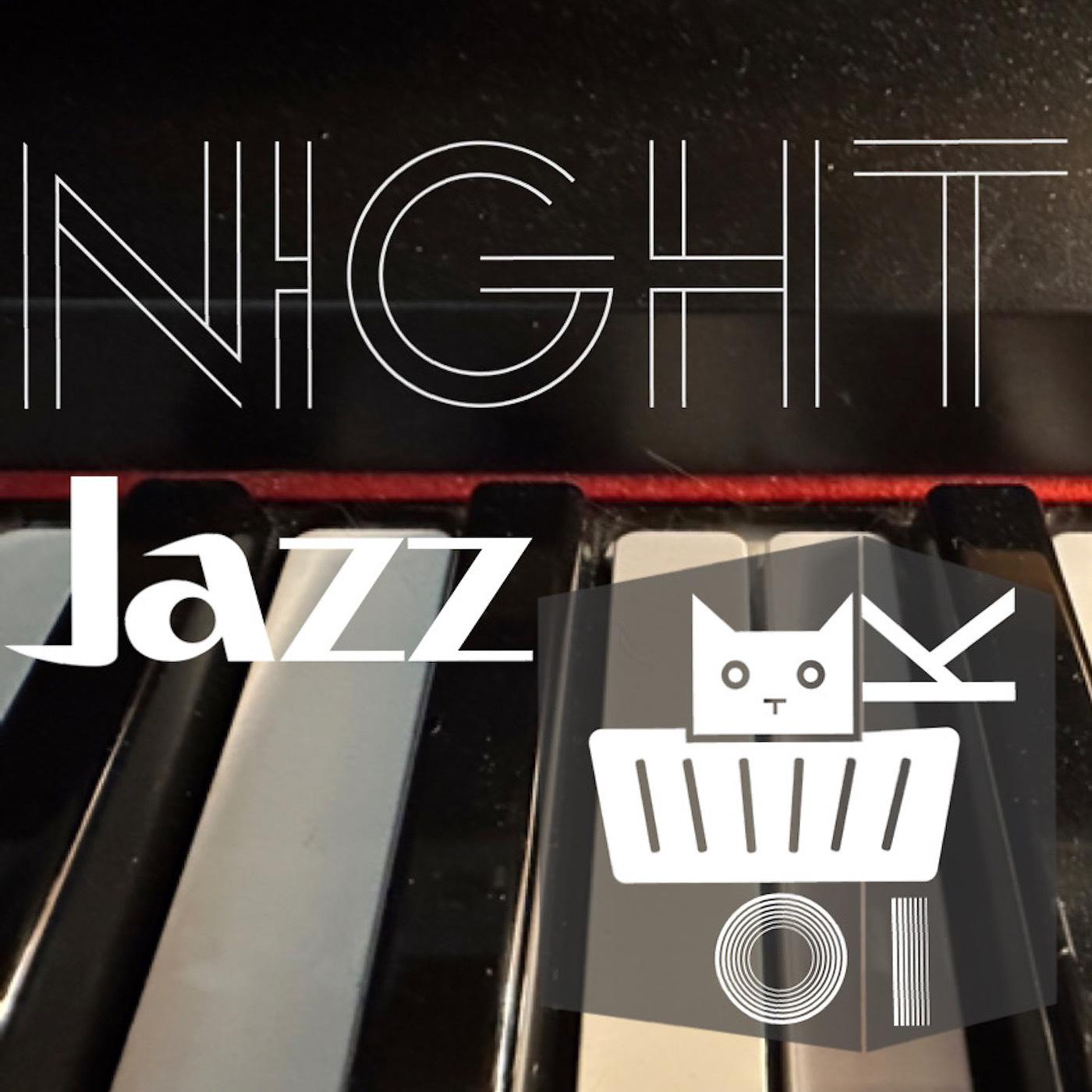 Постер альбома Night Jazz