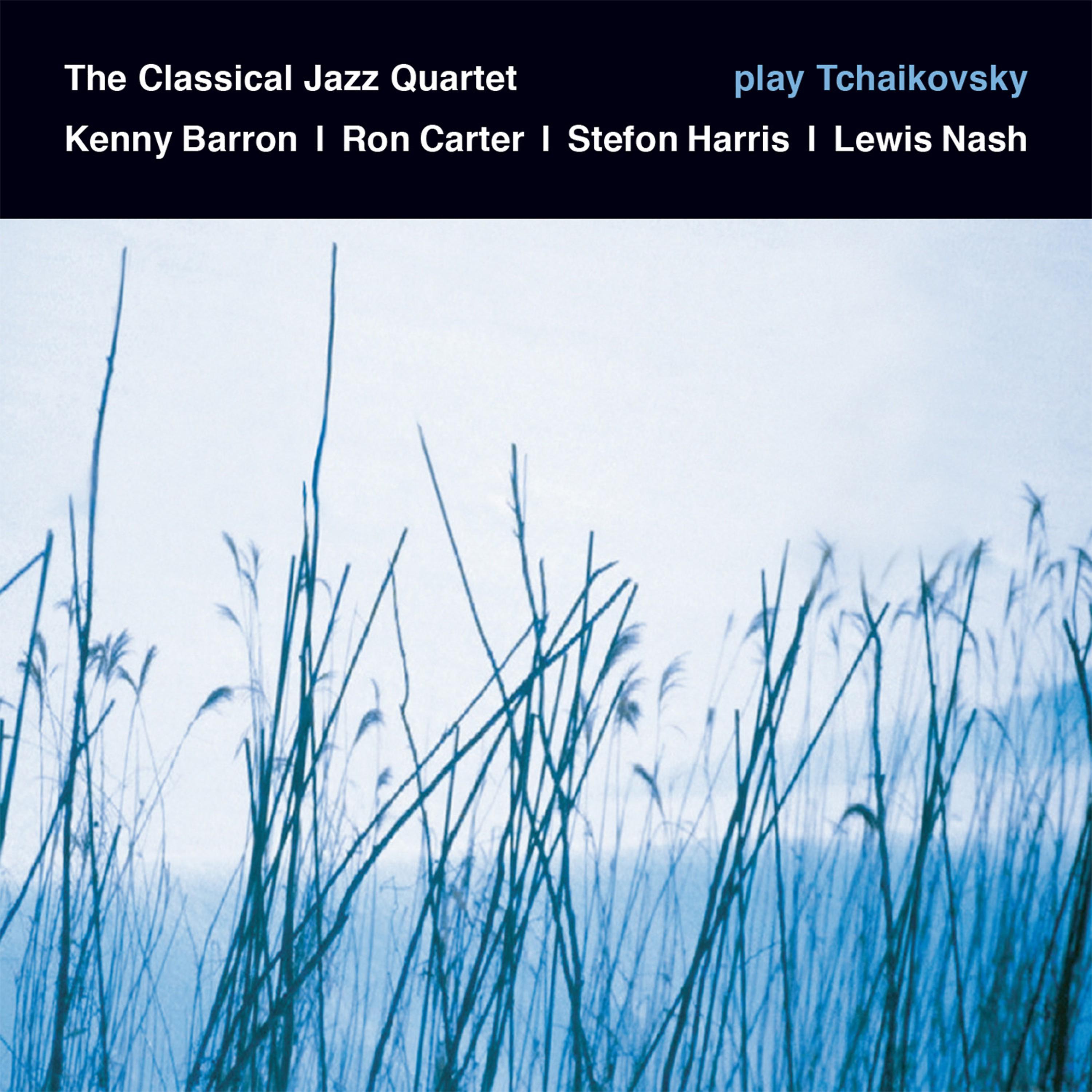 Постер альбома Play Tchaikovsky