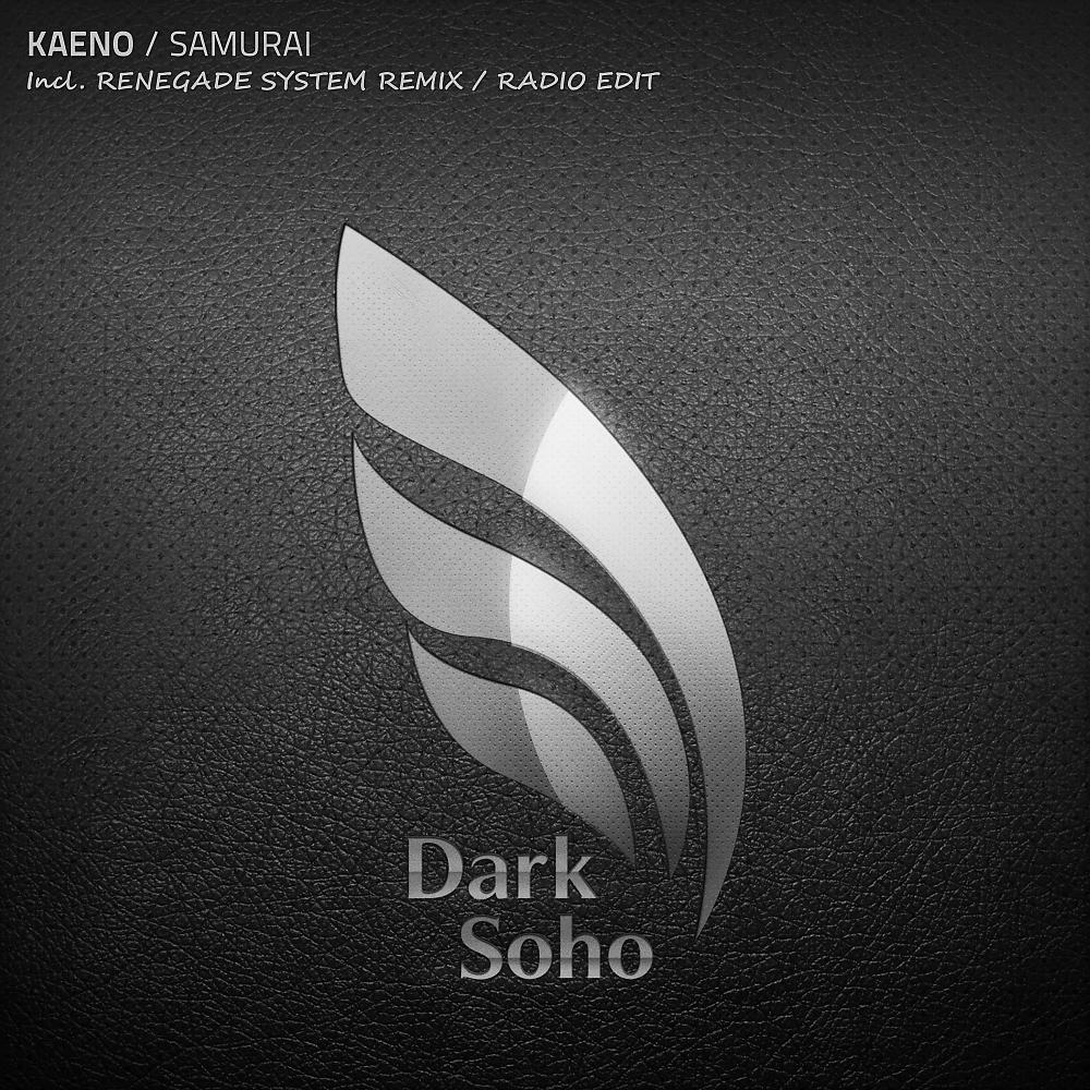 Постер альбома Samurai (Renegade System Remix)