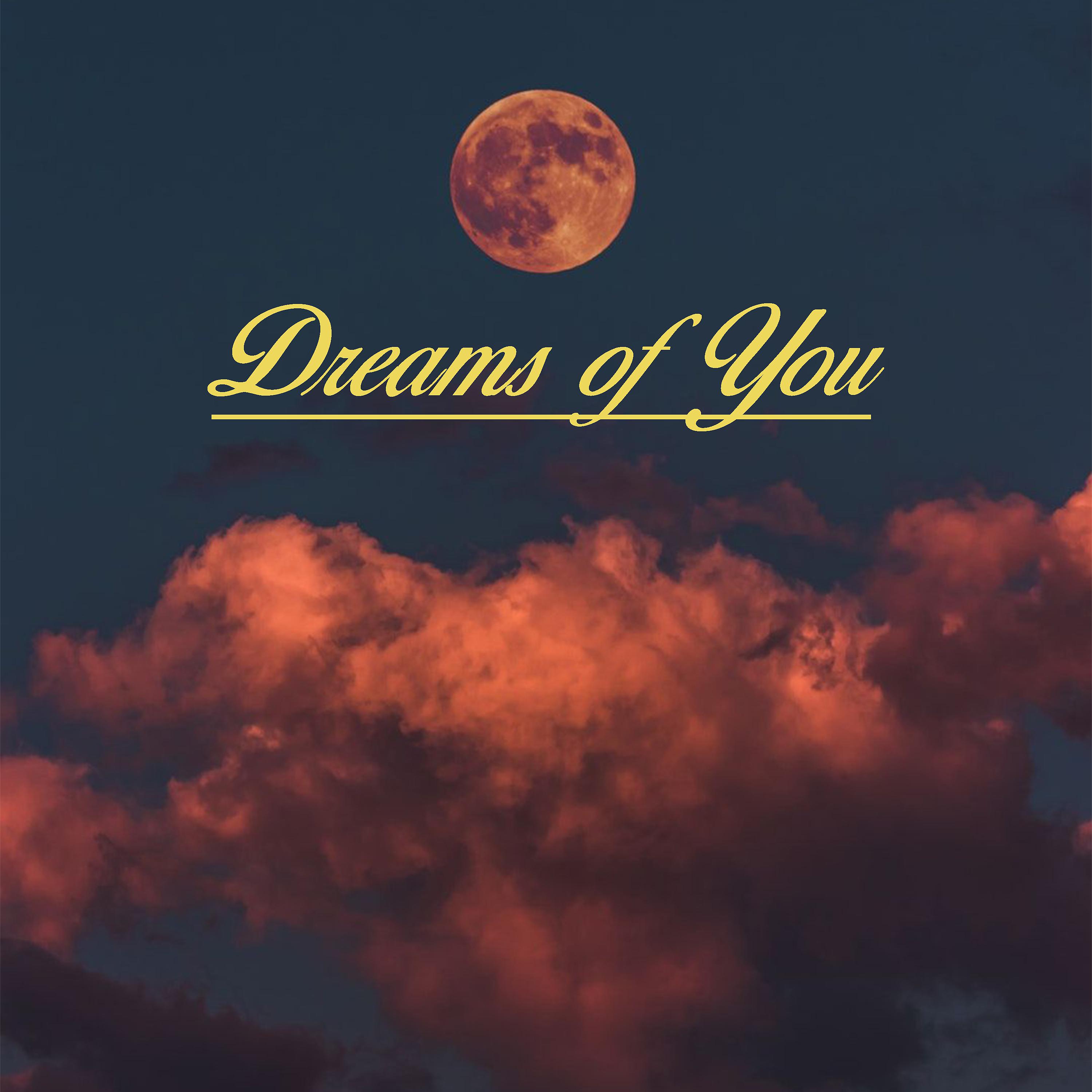 Постер альбома Dreams of You