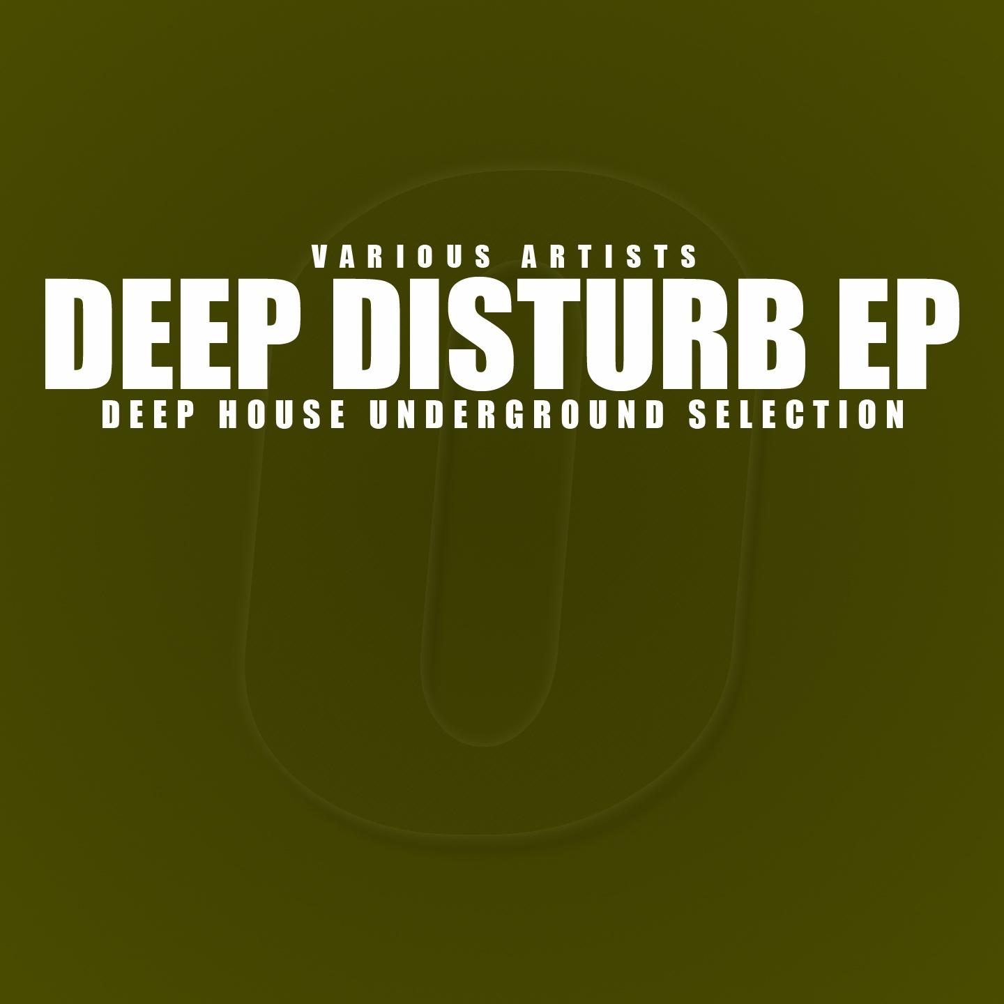Постер альбома Deep Disturb (Deep House Underground Selection)