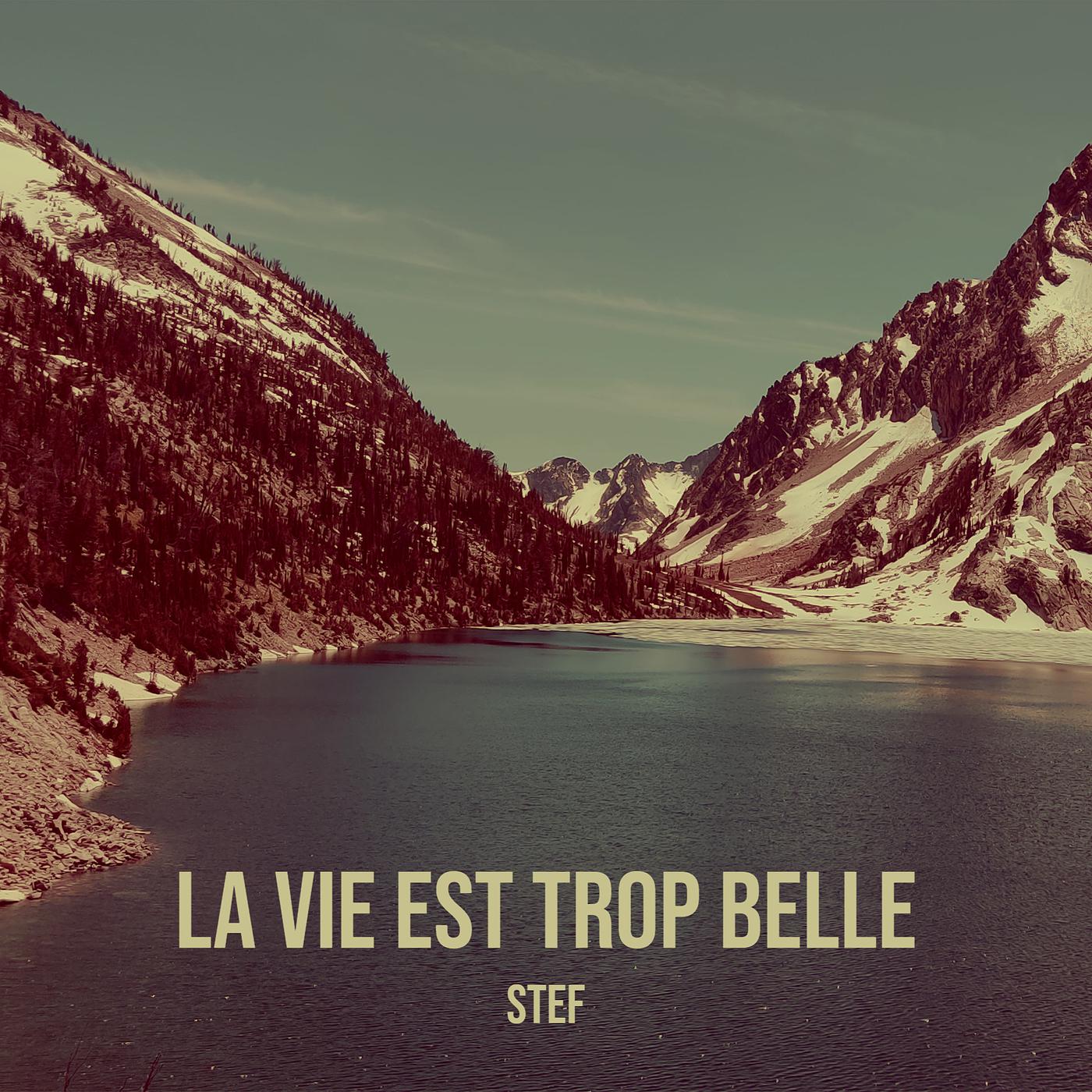 Постер альбома la vie est trop belle