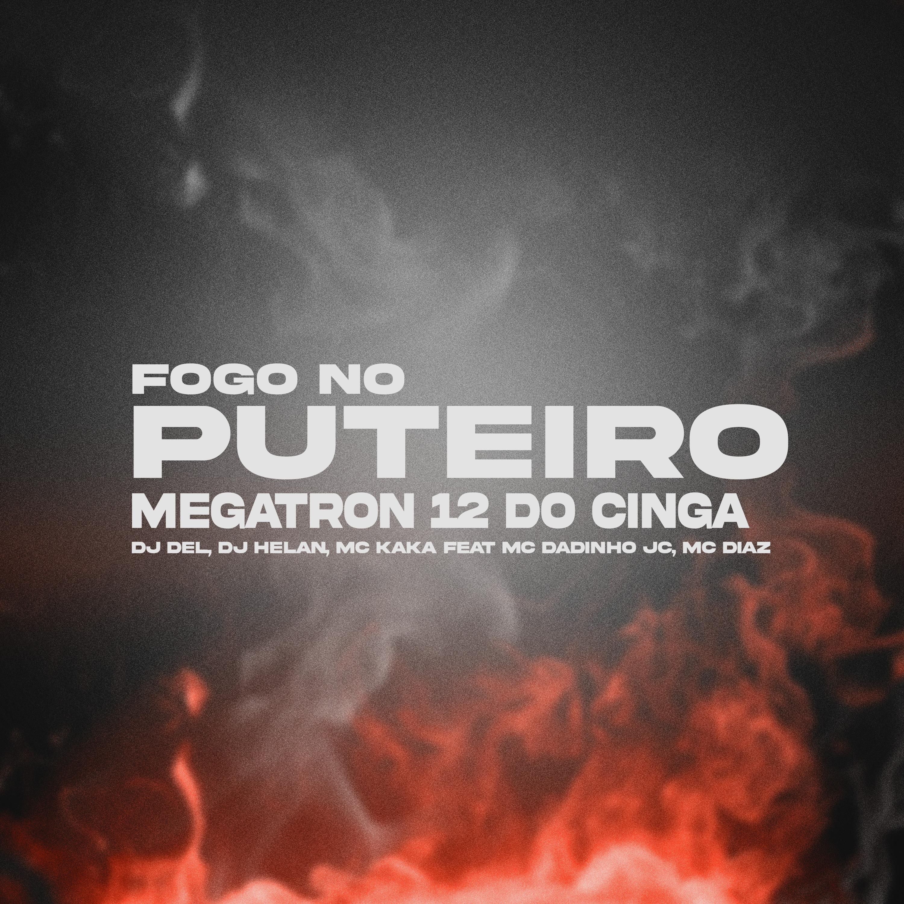 Постер альбома É Fogo no Puteiro, Megatron 12 do Cinga