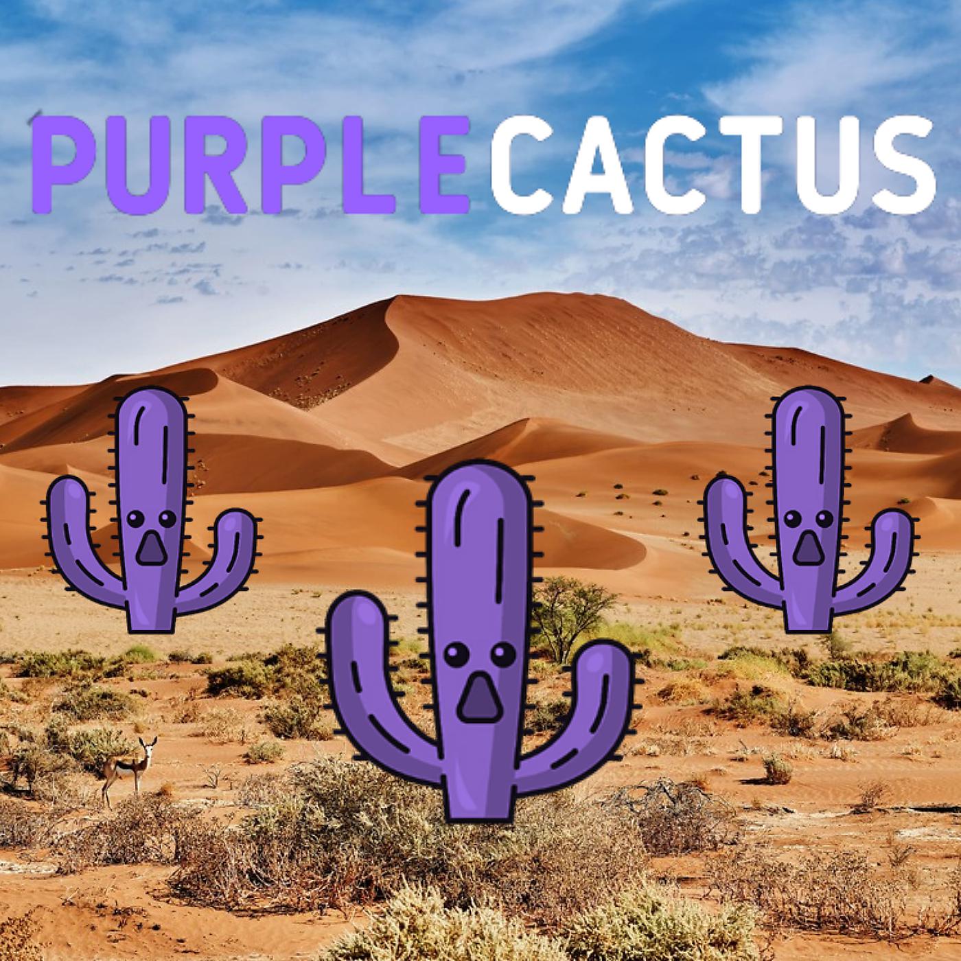 Постер альбома Cactus Violets